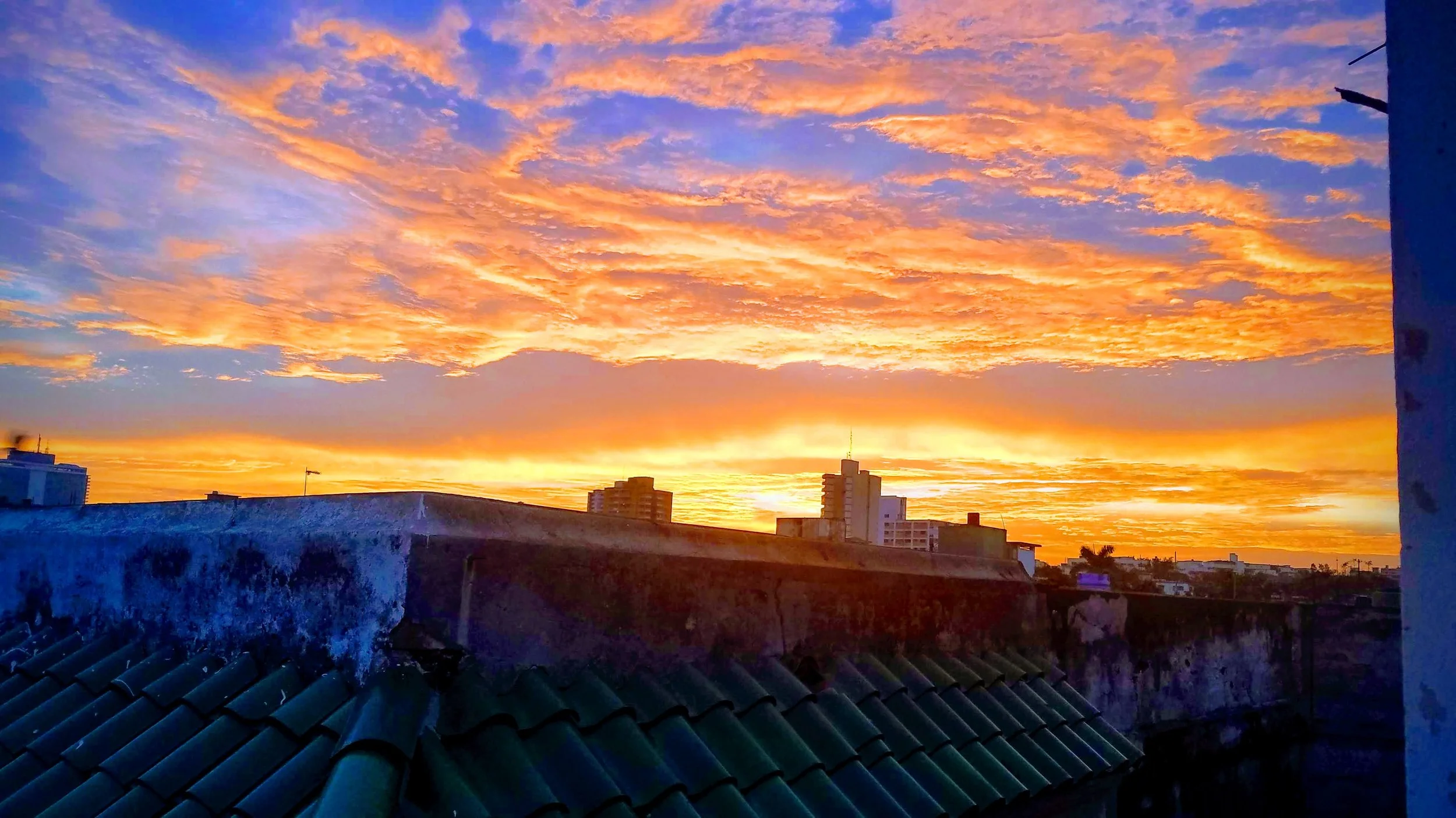 20190213_070036-EFFECTS.jpg