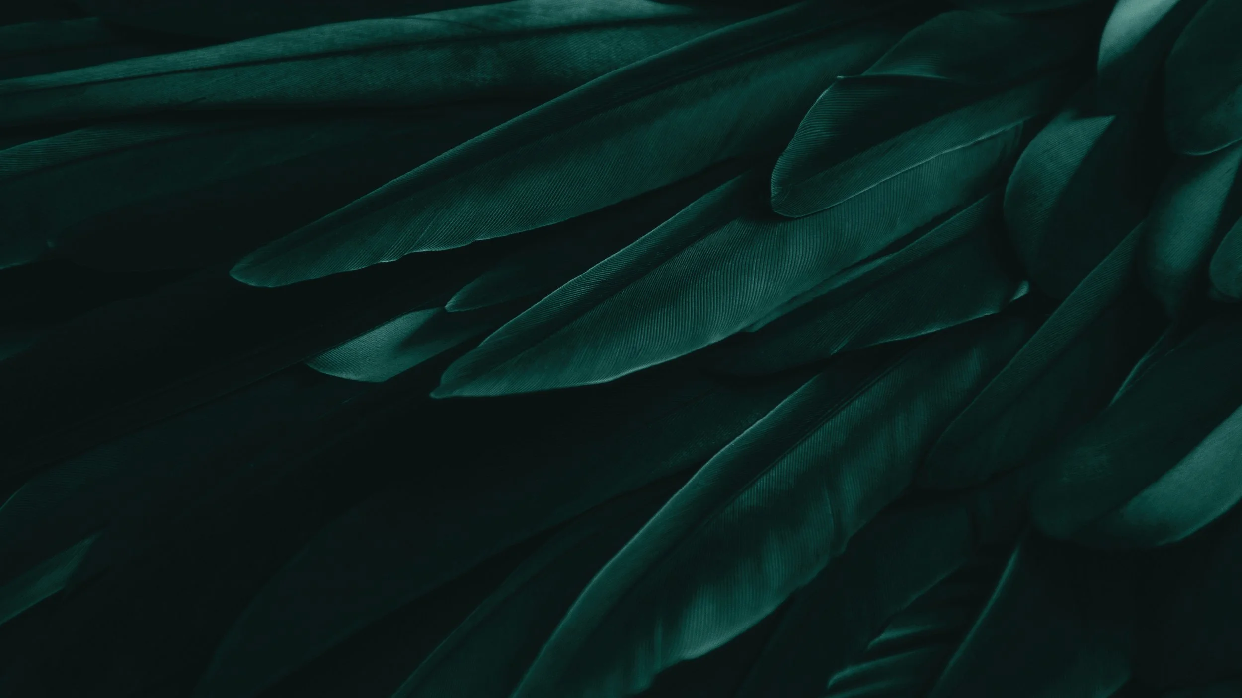 AdobeStock_250954227.jpeg