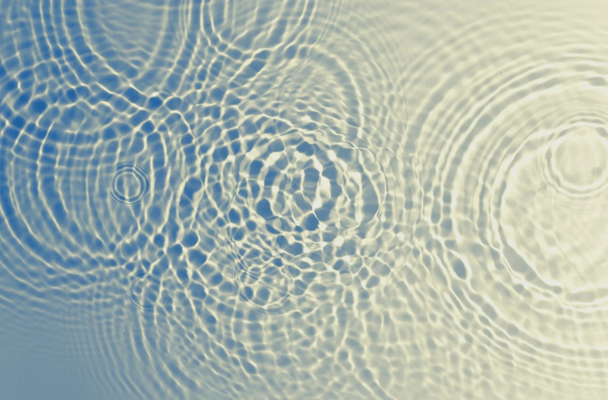 AdobeStock_37581375.jpg
