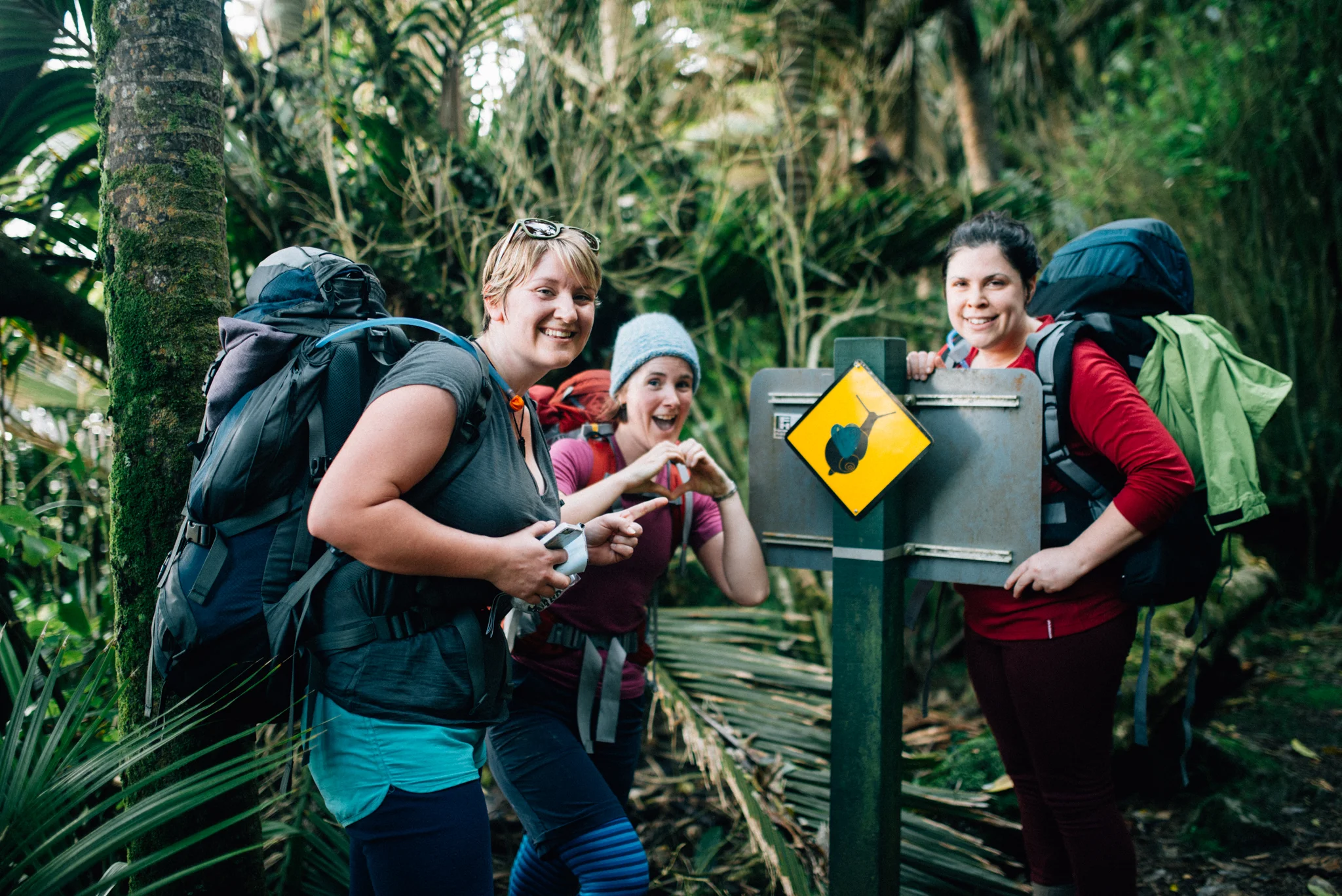 Giant land snails (Powelliphanta). These are carnivorous snails and can grow as large as a fist. Needless to say we were very excited. We didn't actually see any until day three, but we did encounter a few empty shells.
