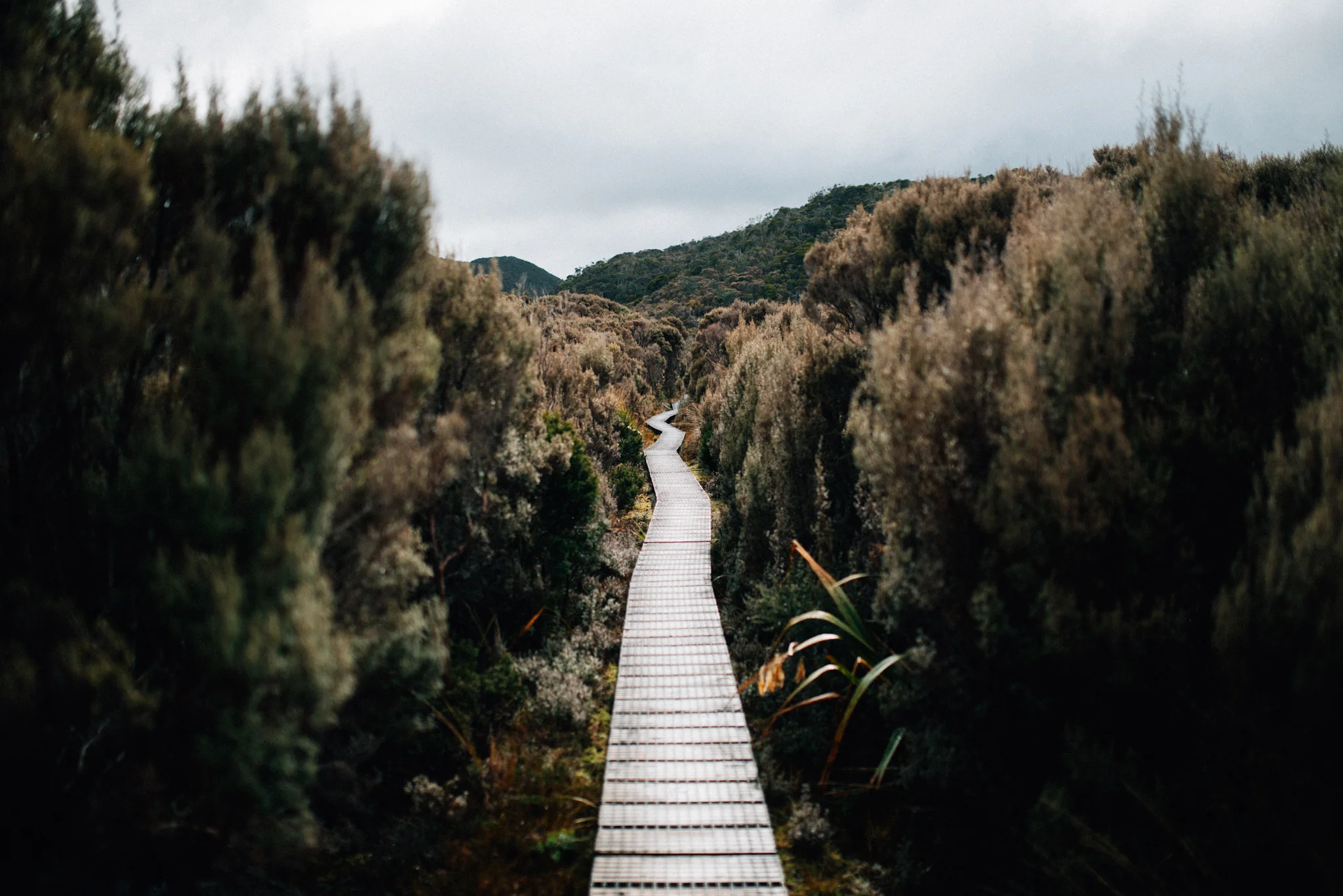 Oh you bet we got boardwalks!