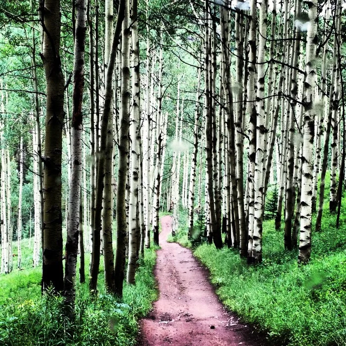 The Path Of Personal Growth