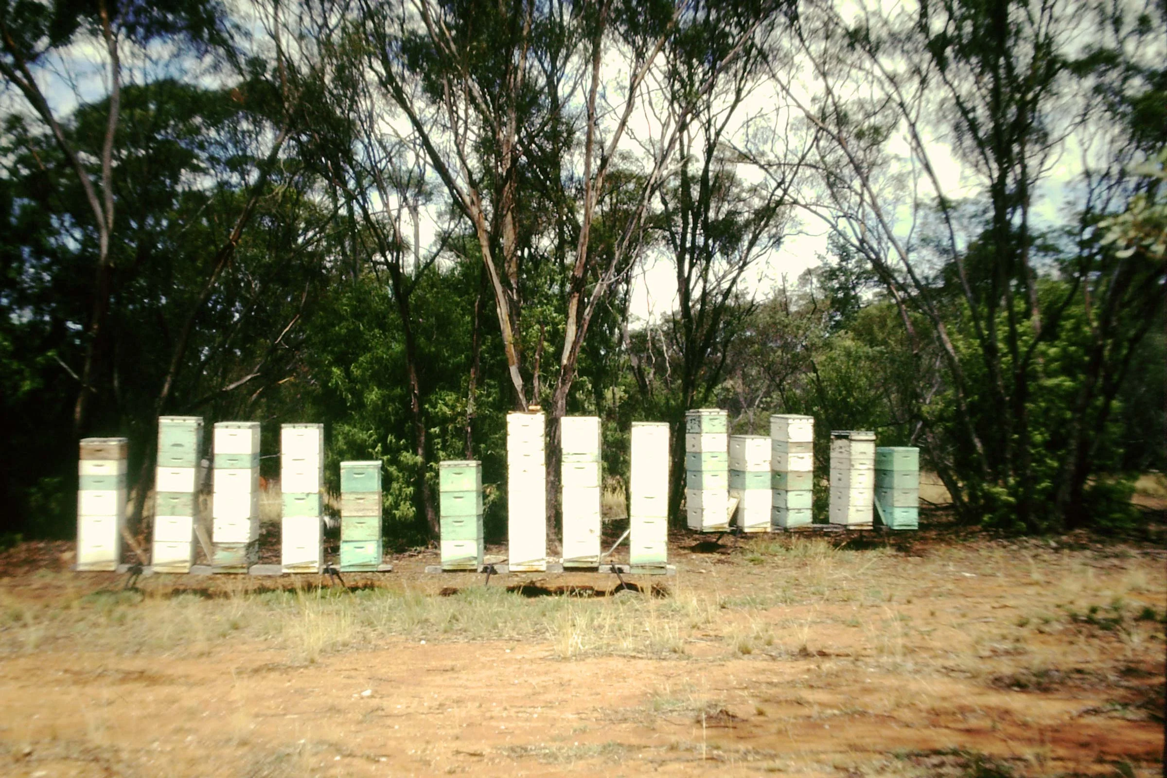 PICT0002.jpg