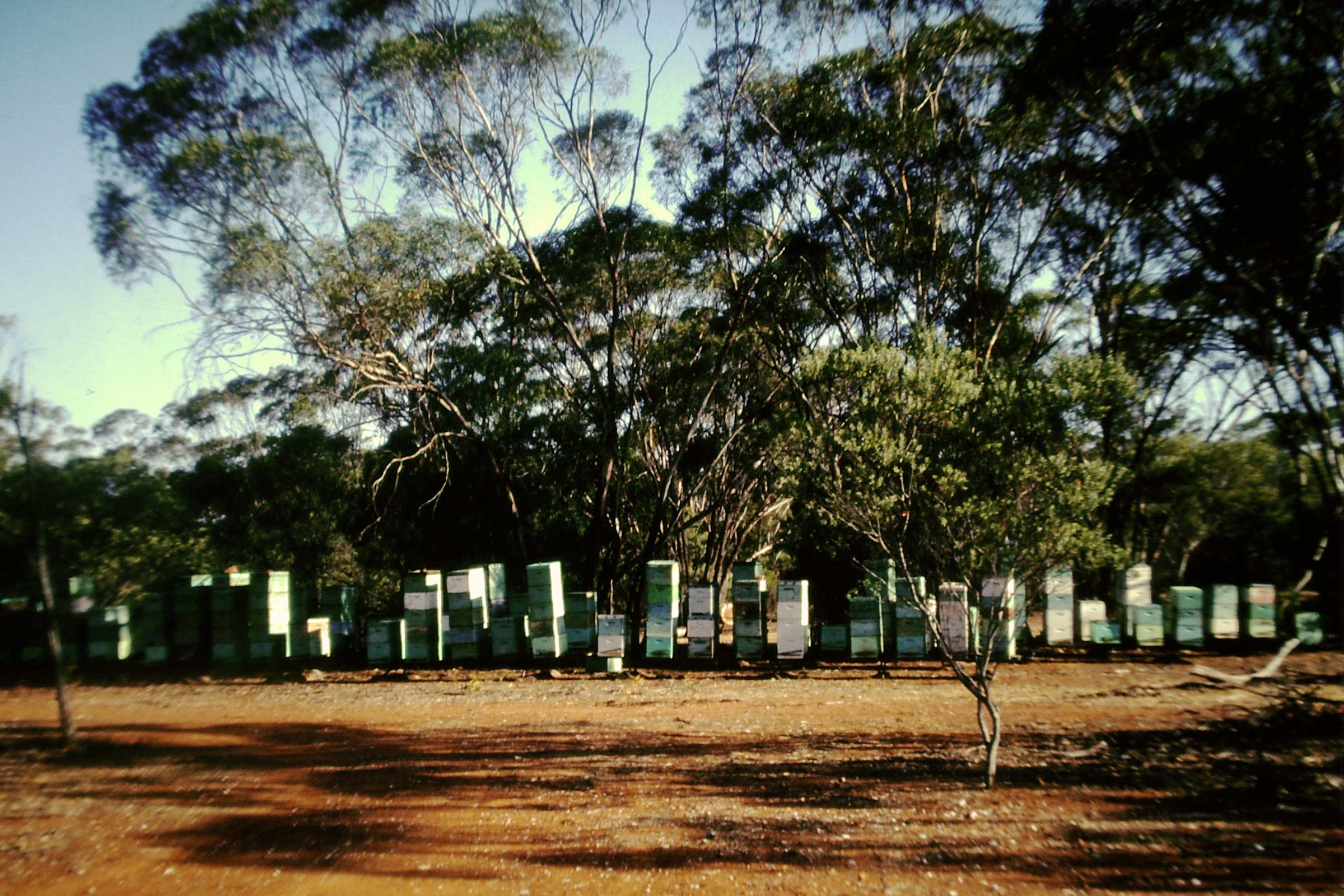 PICT0001.jpg