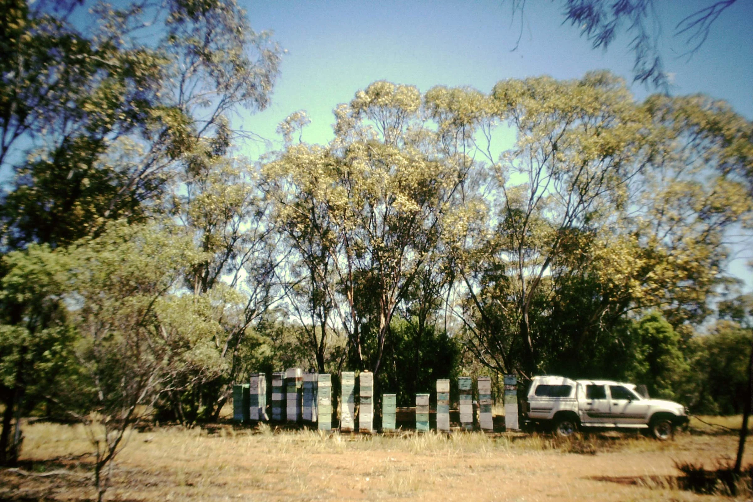 PICT0014.jpg