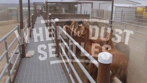 When The Dust Settles trailer