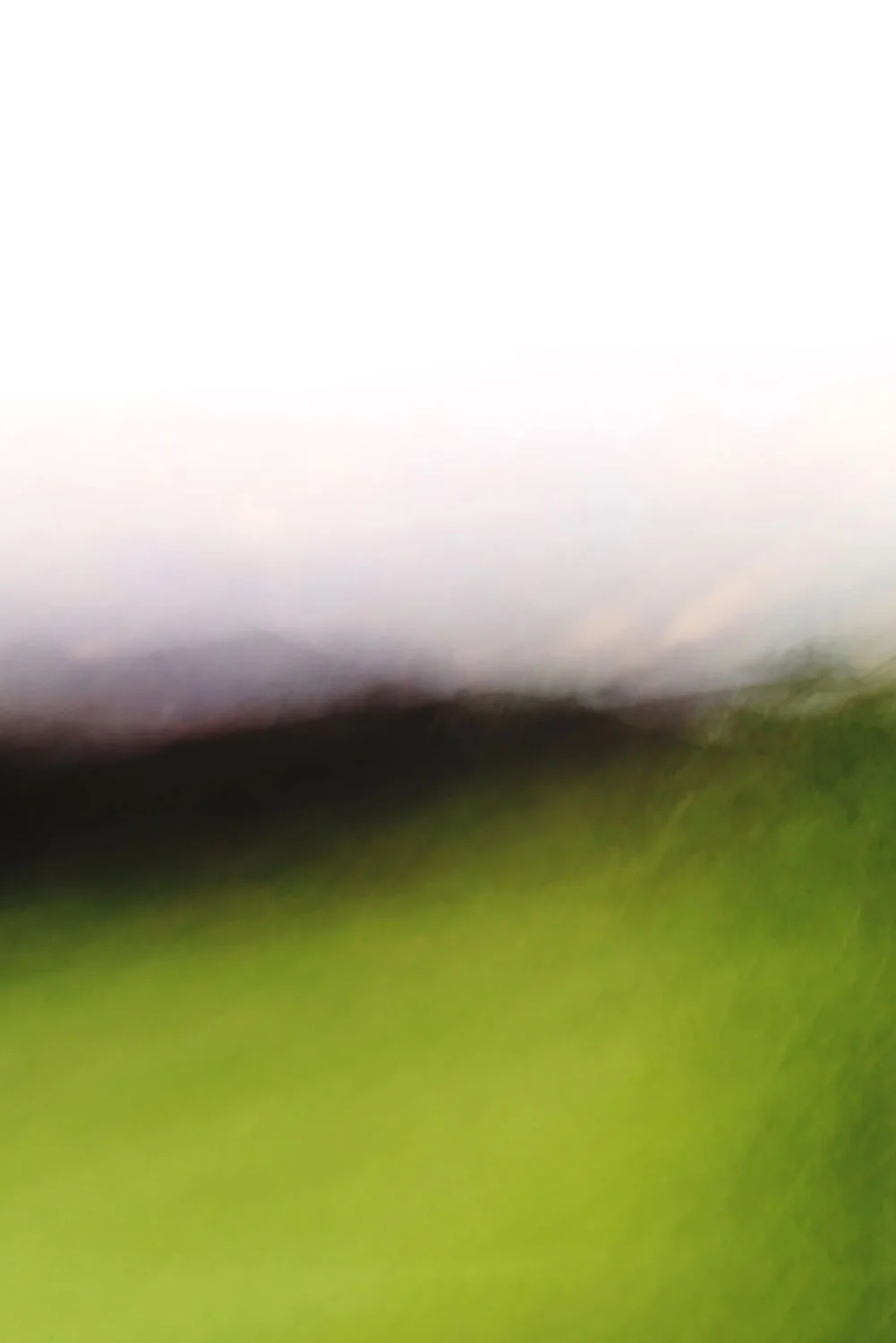 beyond_cropped.jpg