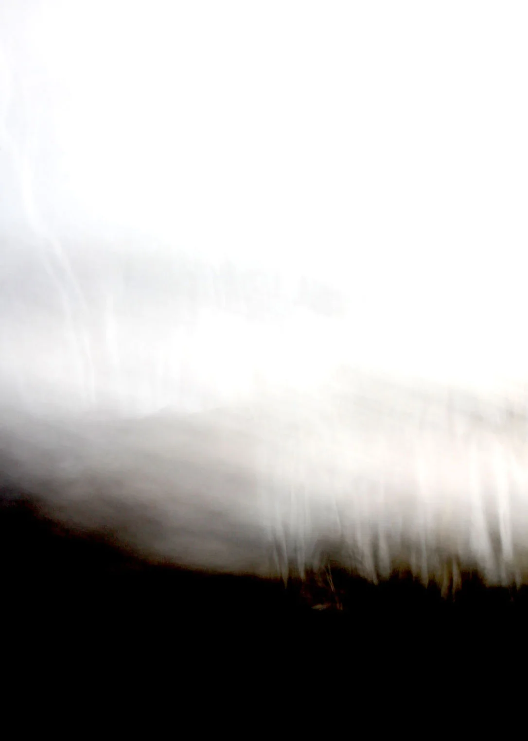 donna_pinter_earthed_crop.jpg