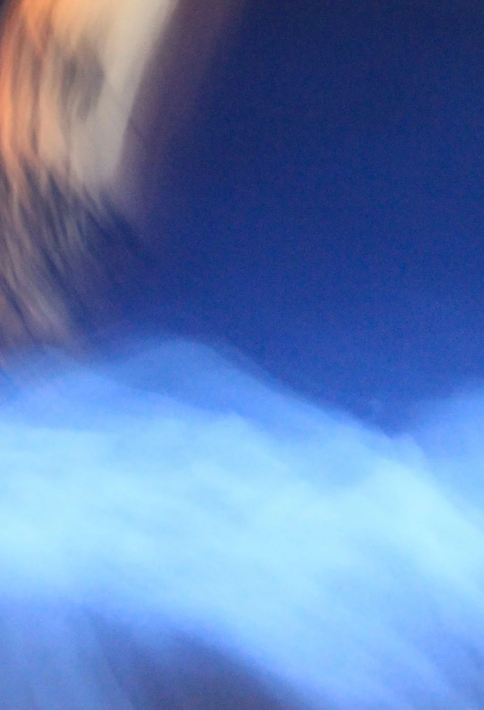 donna_pinter_windswept_crop.jpg