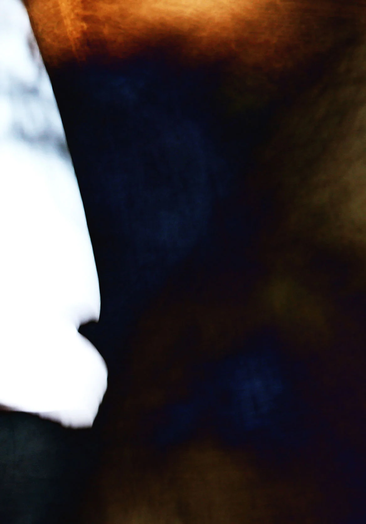 donna_pinter_what_flows_I_crop.jpg