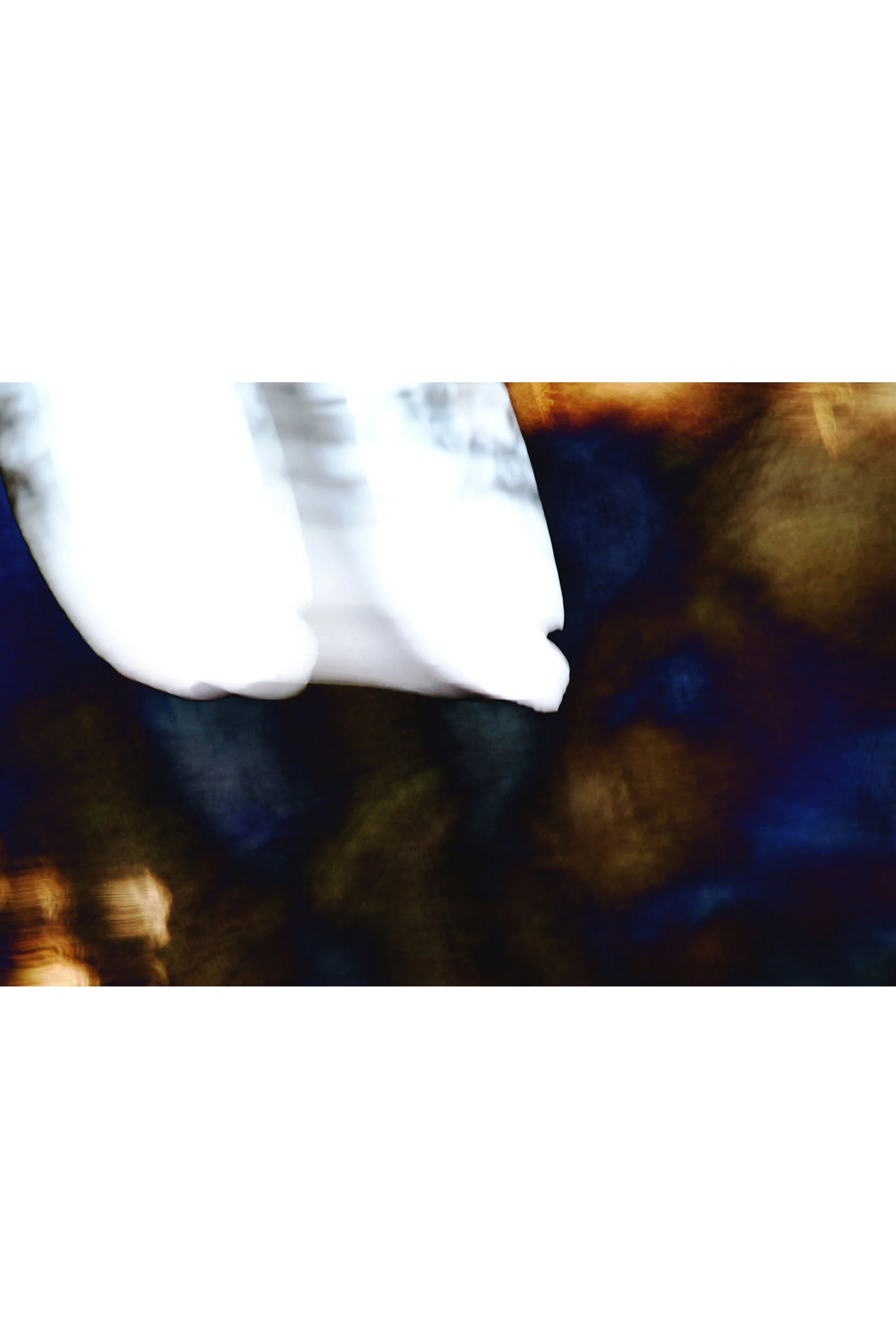 donna_pinter_what_flows_ll_landscape.jpg