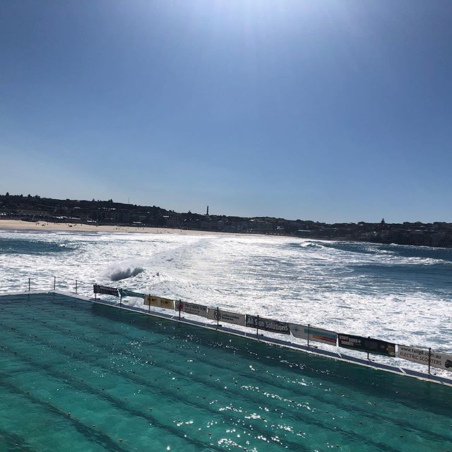 Festival of the winds and swim 19
Great day to be in Bondi 😊