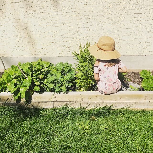 Oh it feels good to get my hands in the dirt again. The garden doesn&rsquo;t look quite like this just yet. The little sprouts are just starting to come up. I&rsquo;ve added a bunch of herbs and veggies. But there is something so grounding about gett