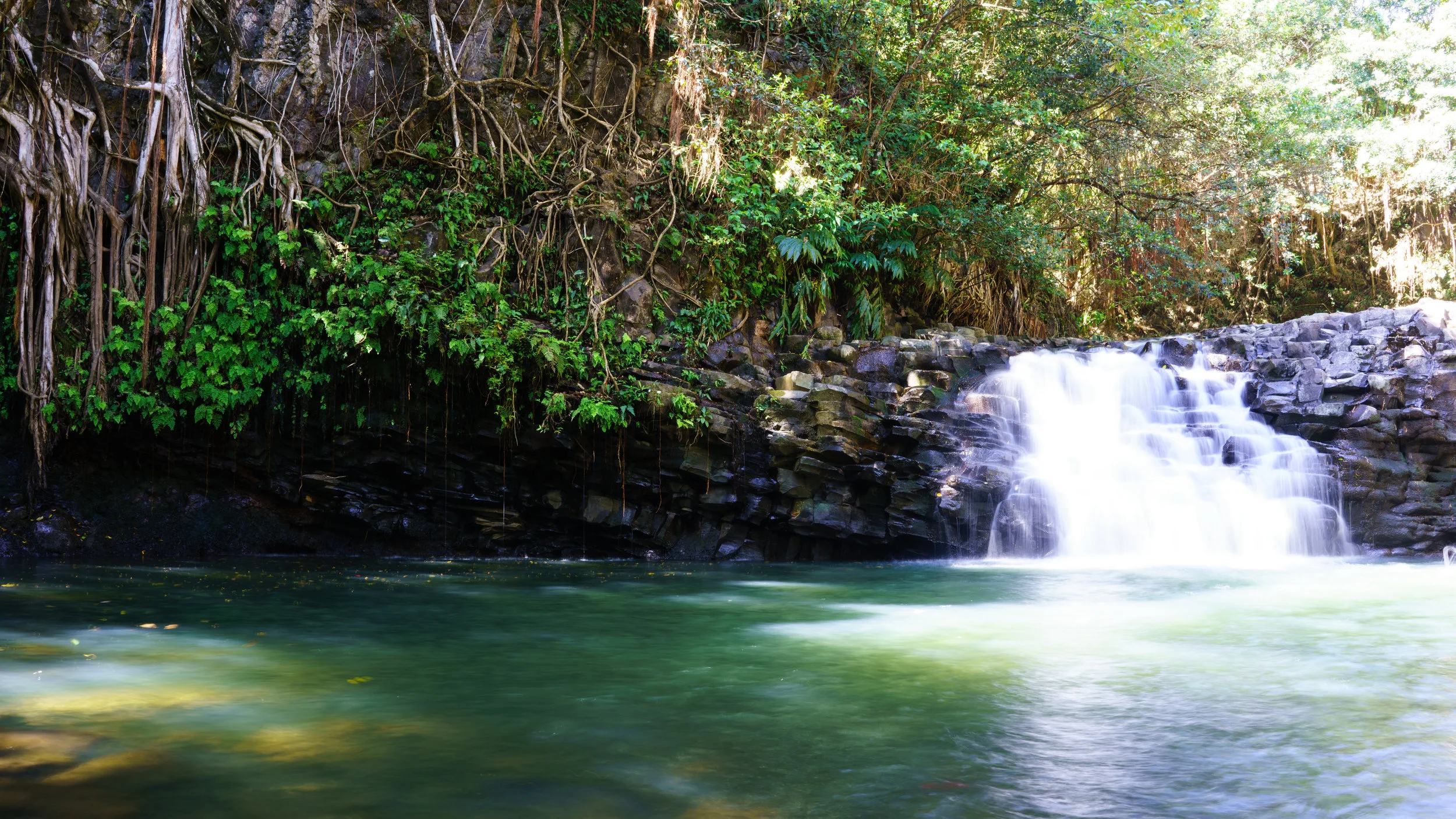 _DSC5169.jpg