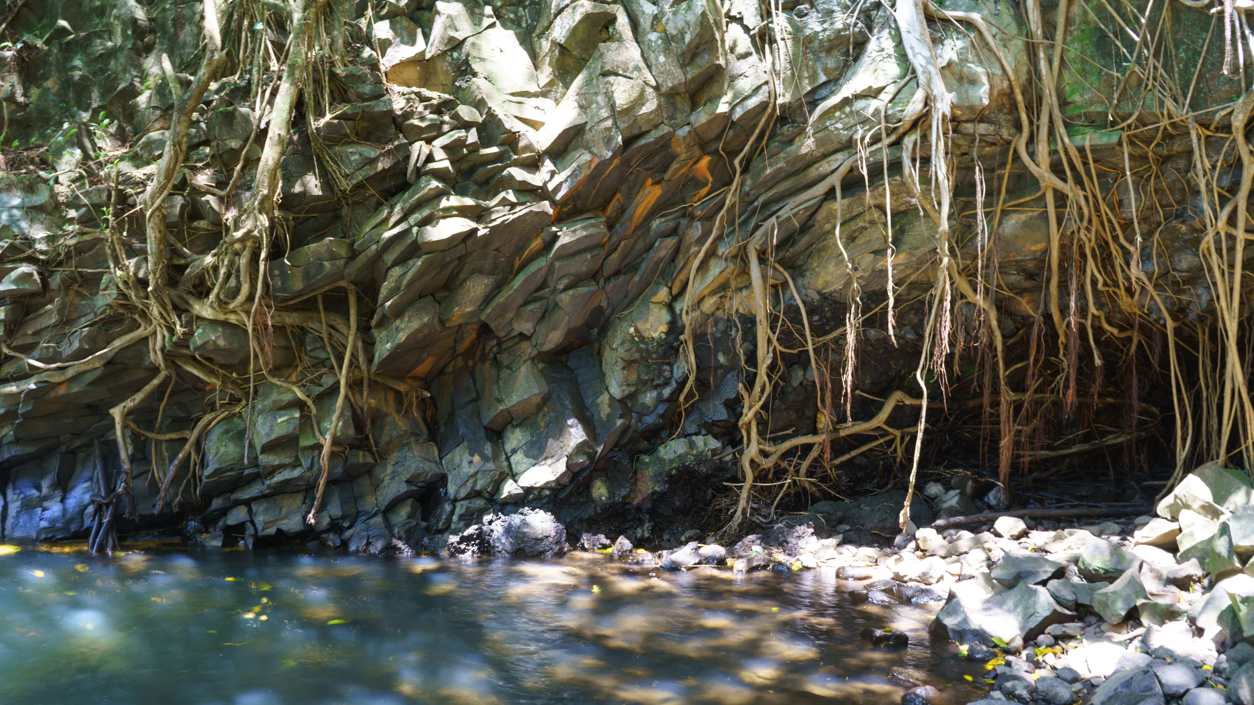_DSC5566.jpg