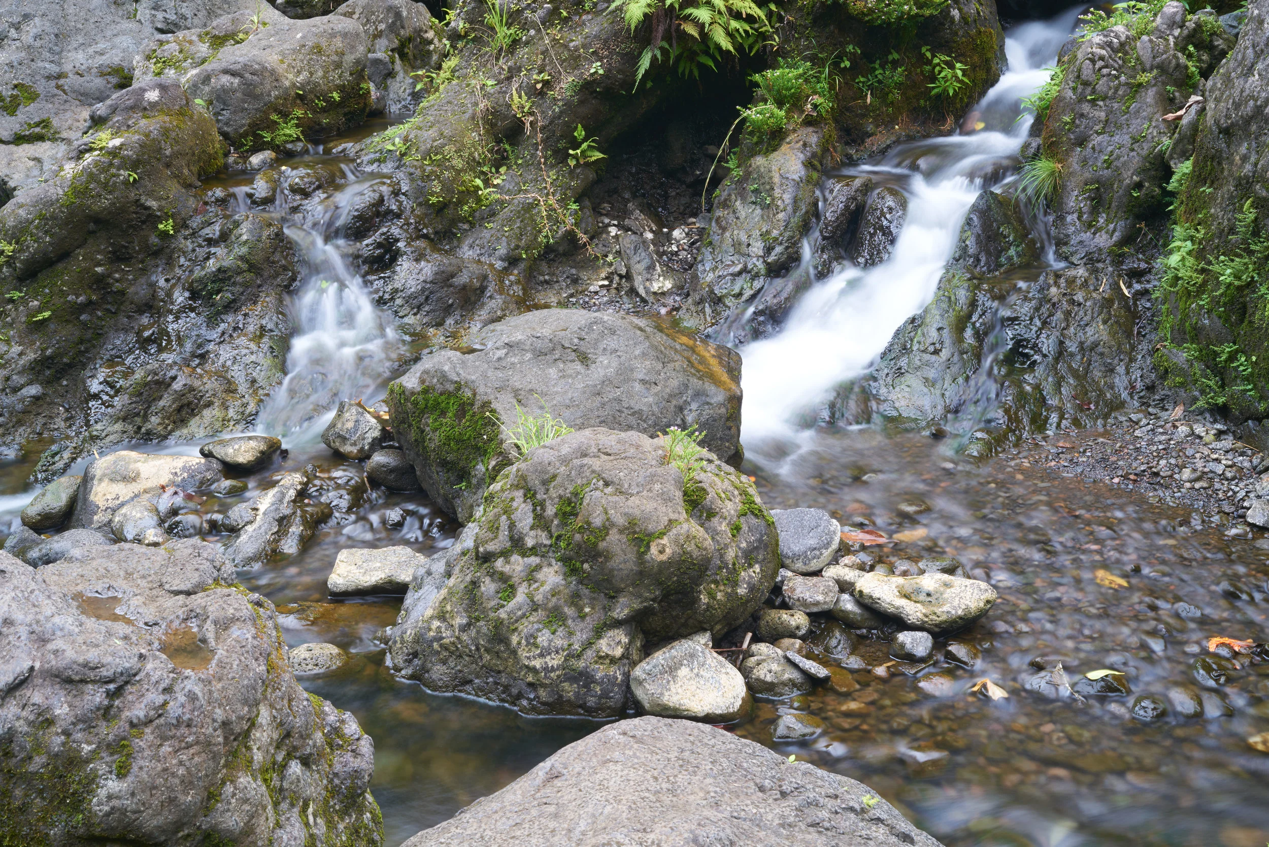 A7R01335 1.jpg