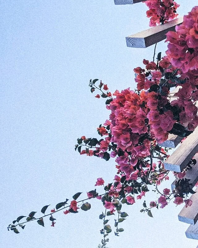 Made with love and attention. 🌱