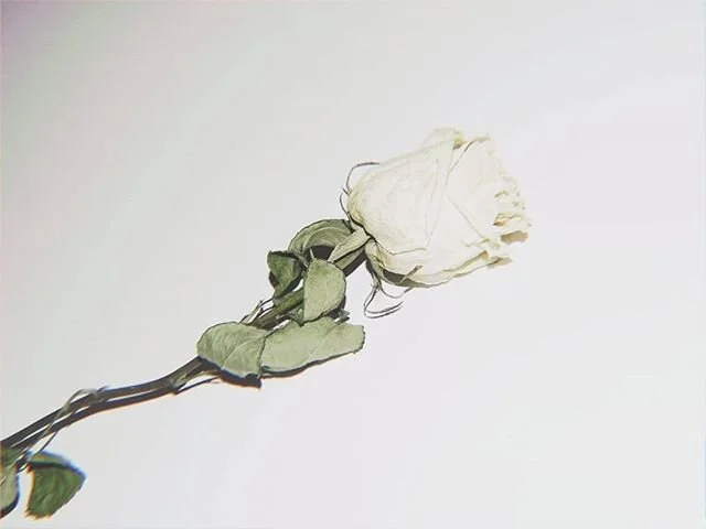 A single gift became a little symbolic reminder of our late night blueberry crumble cakes and salted caramel lattes.
.
.
.
.
.
#love