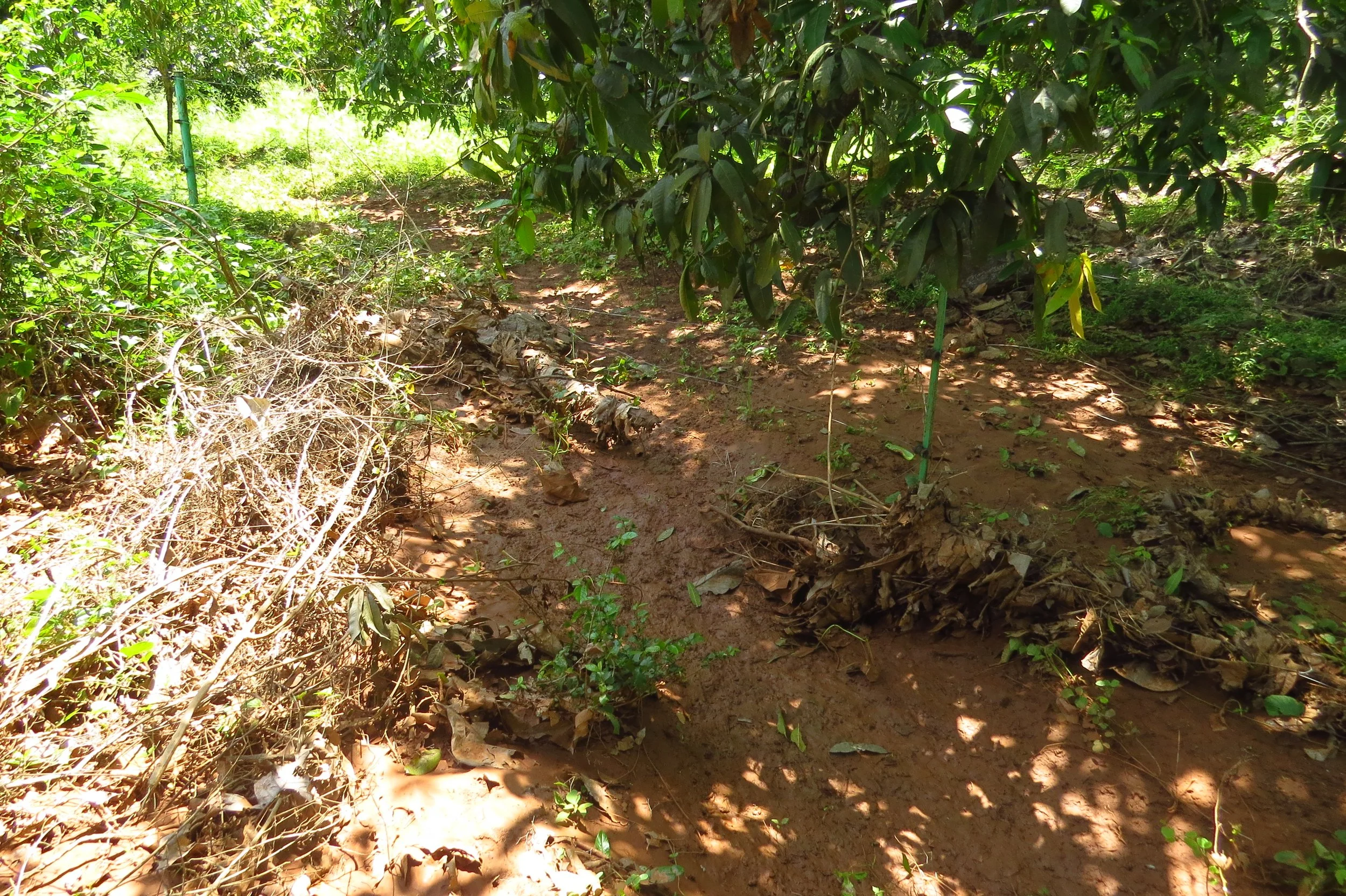 Flows into the site where pond is now located