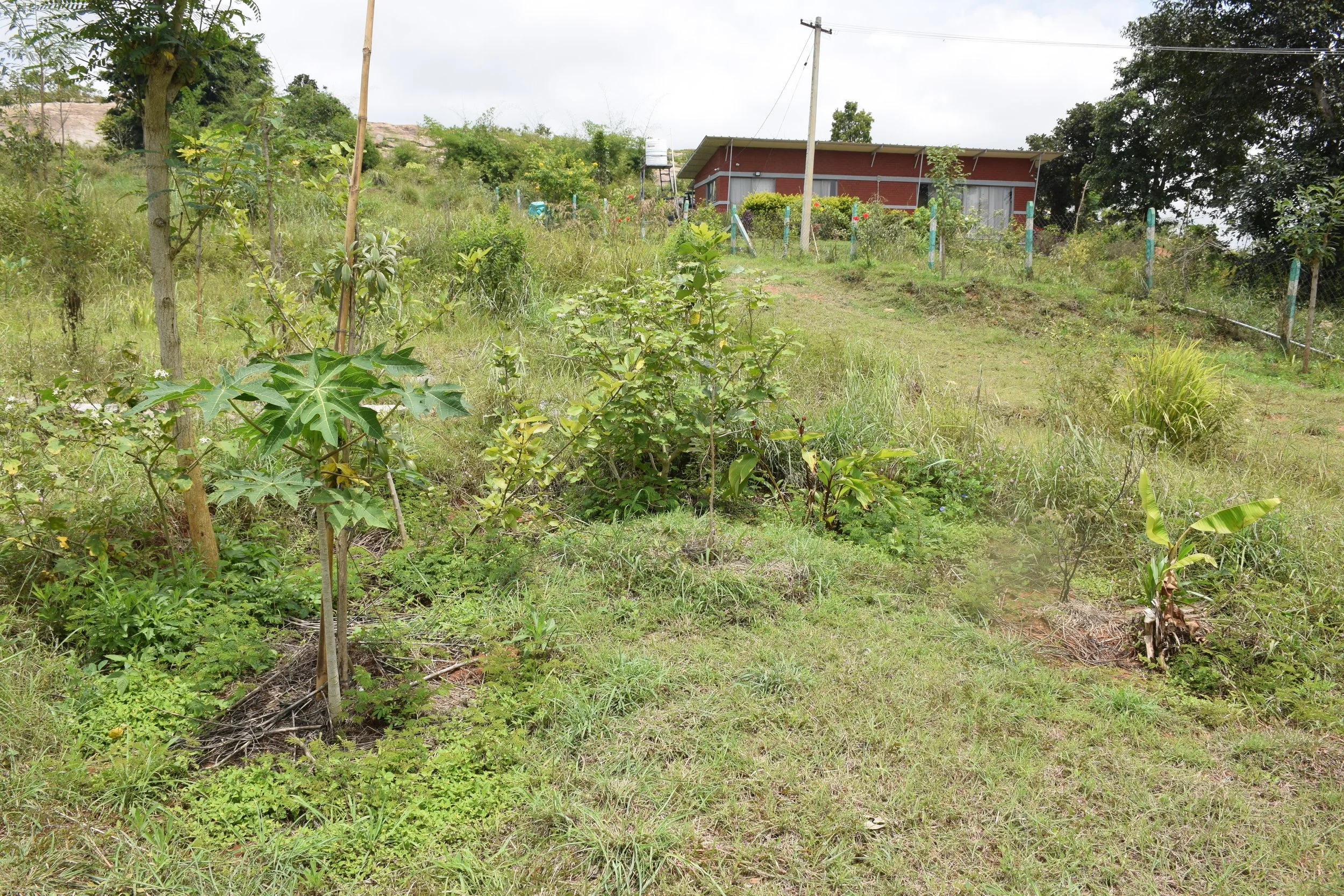 Guilds 2 years after implementing