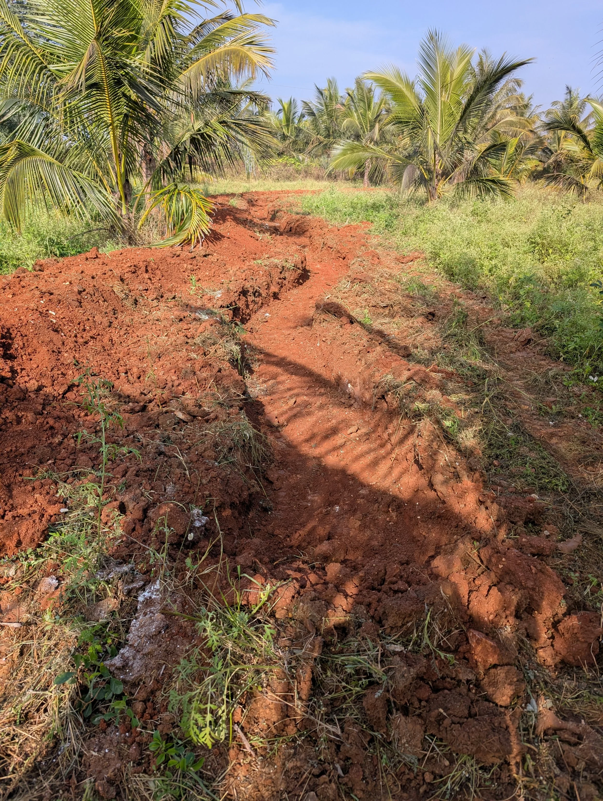 Meandering overflow from P1 to Basin 1 (B1)