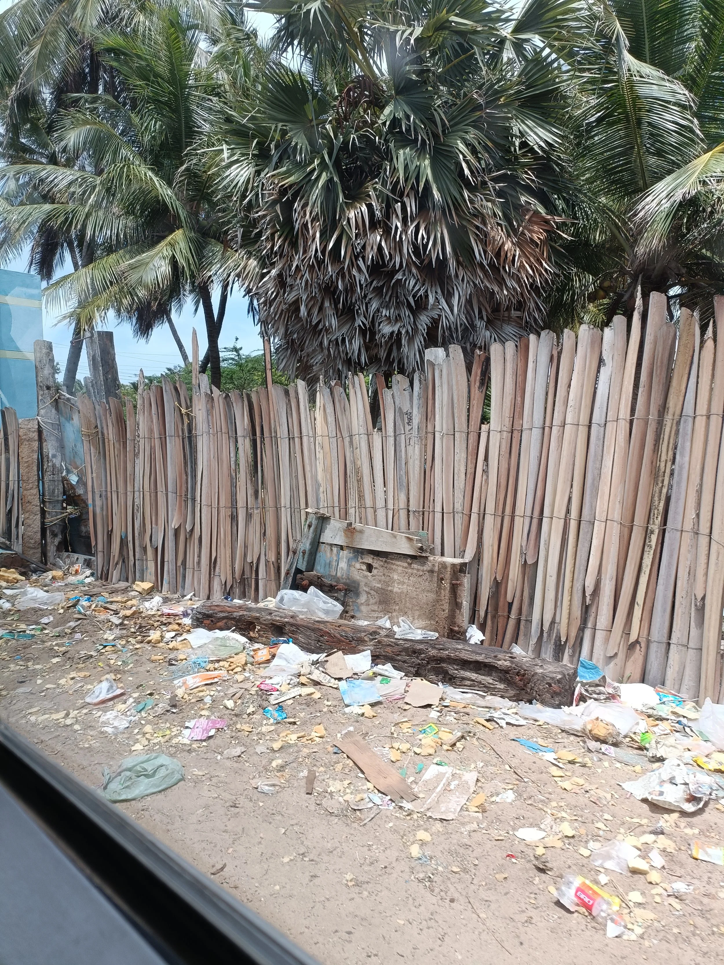 Reference fence (Palmyra petioles)