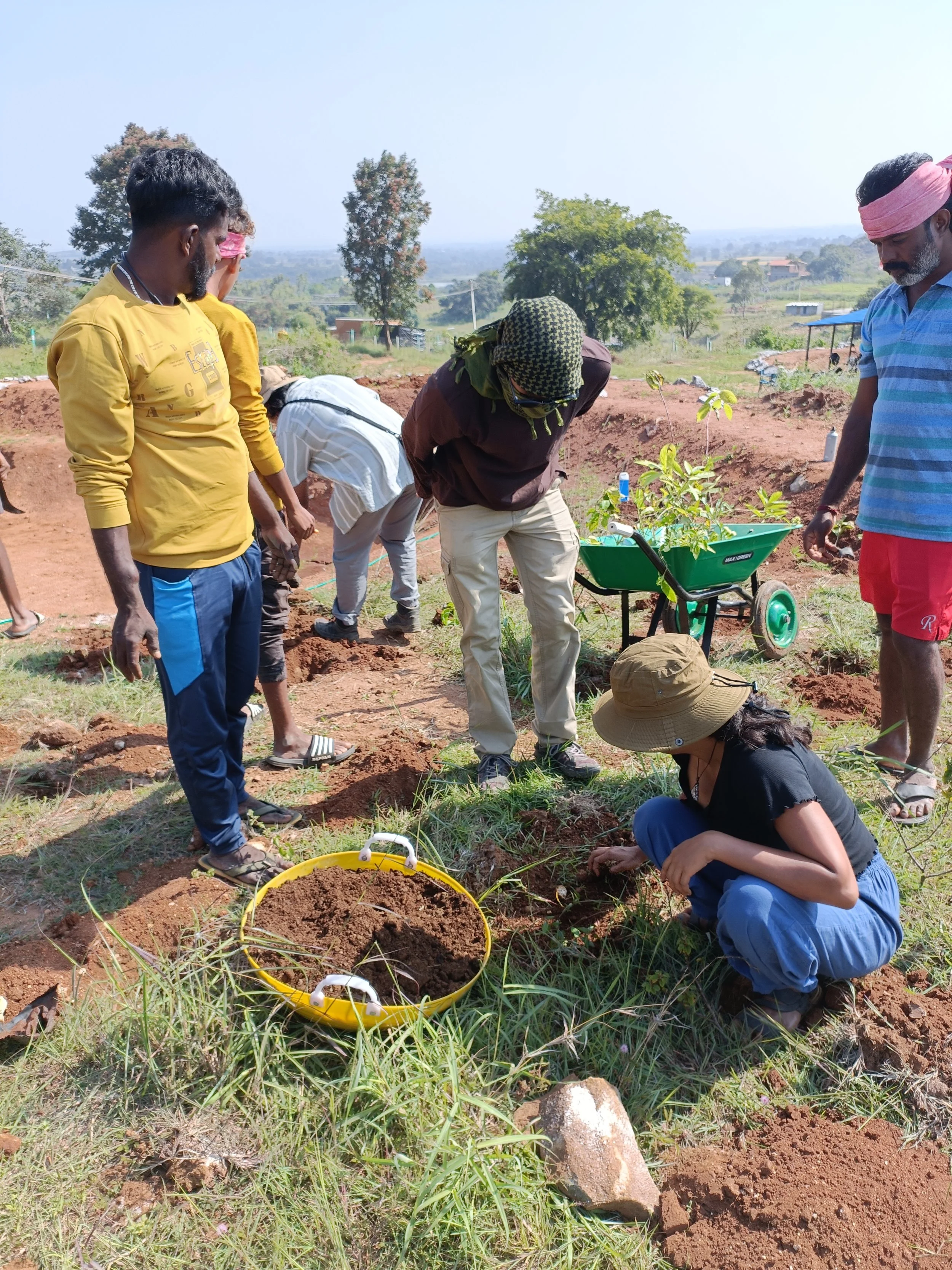 Planting process demonstration