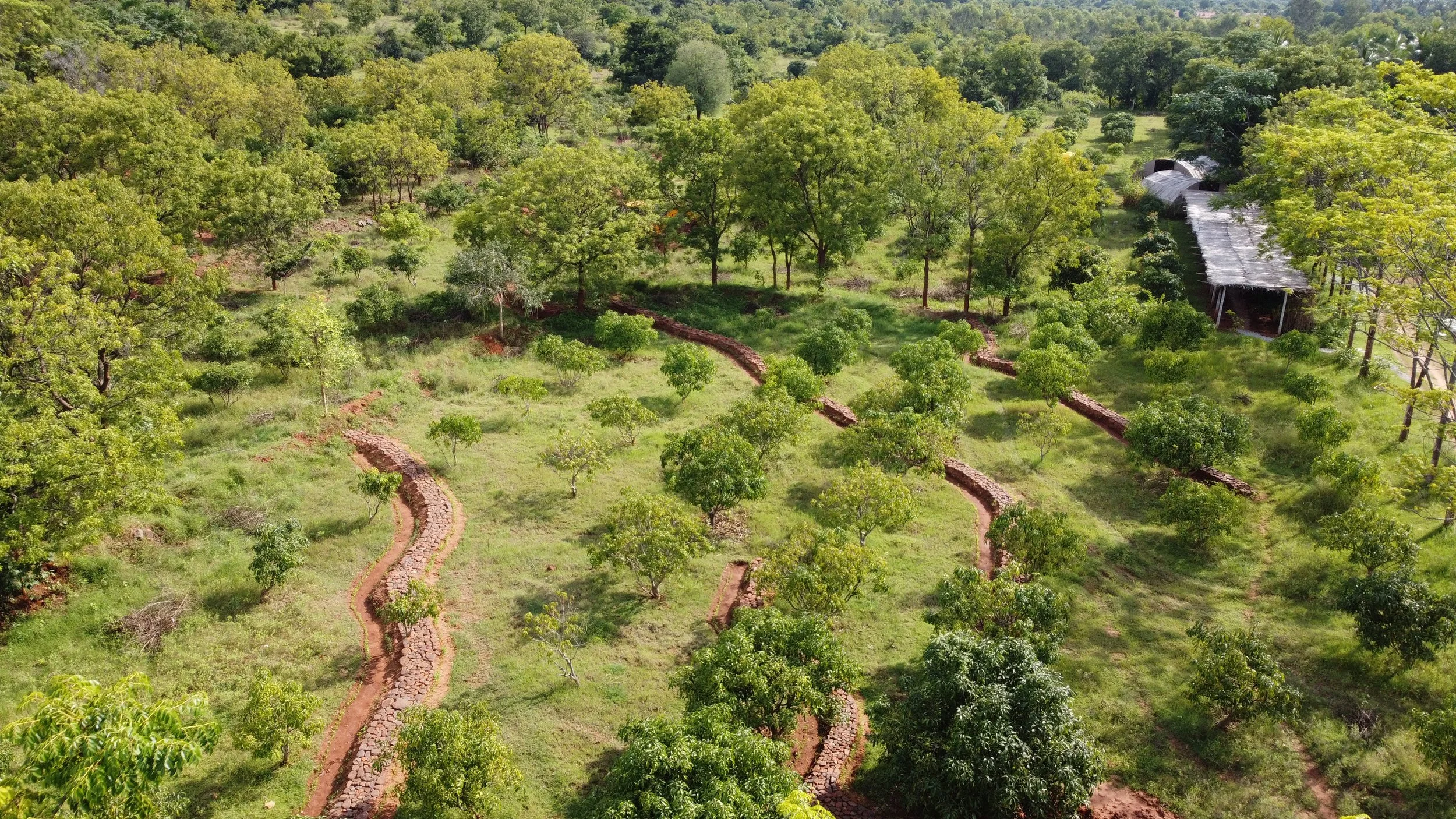 DJI_0414.JPG
