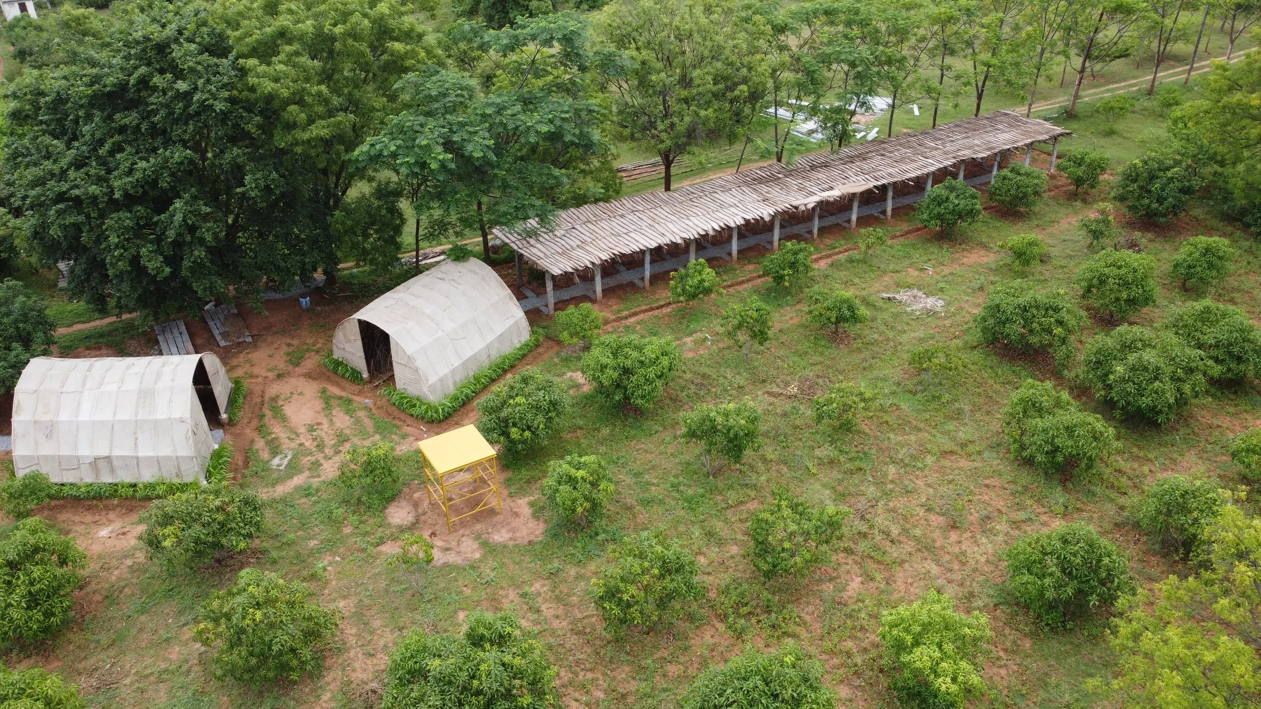 DJI_0120.JPG