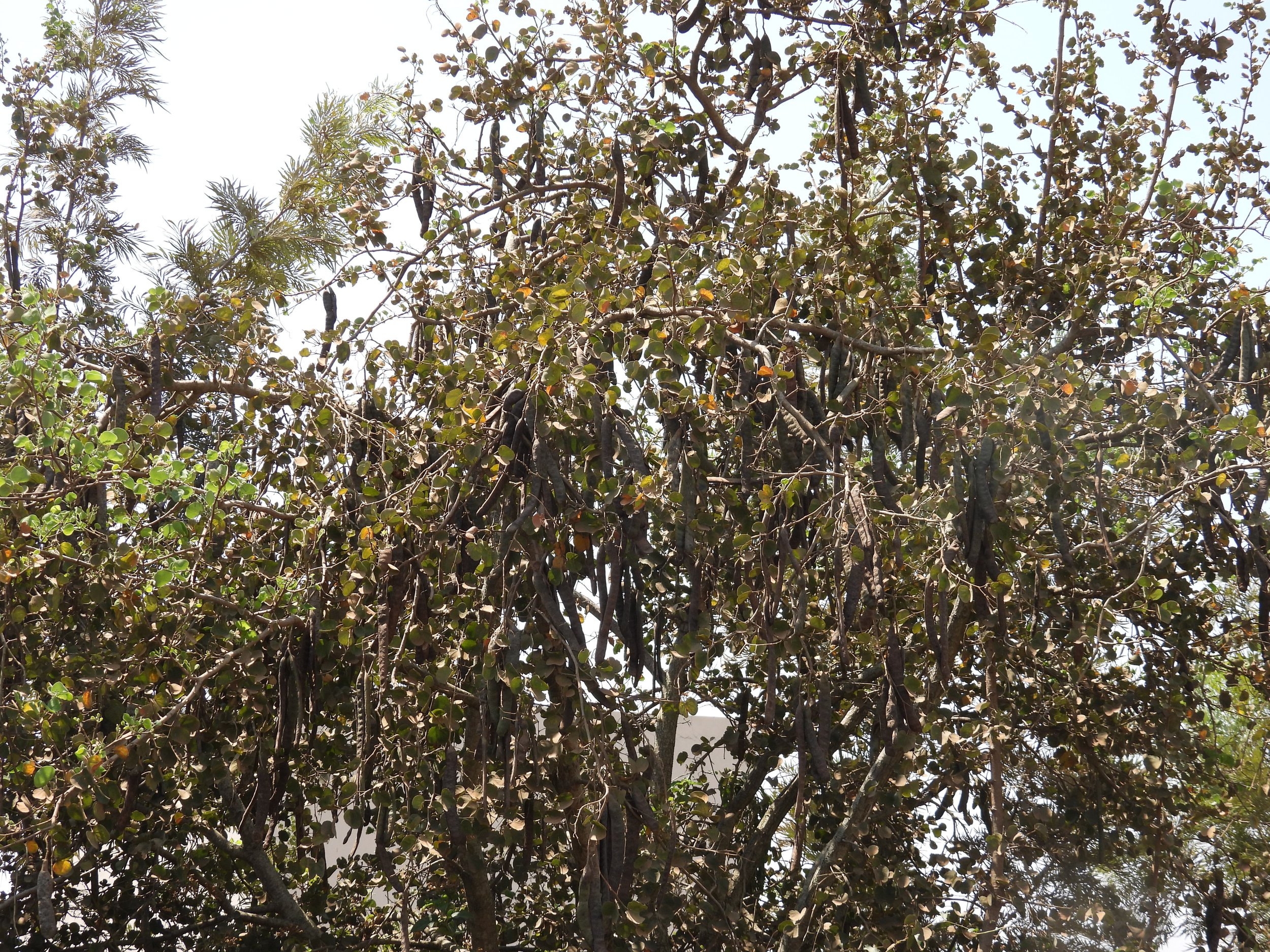 DSCN7709.JPG