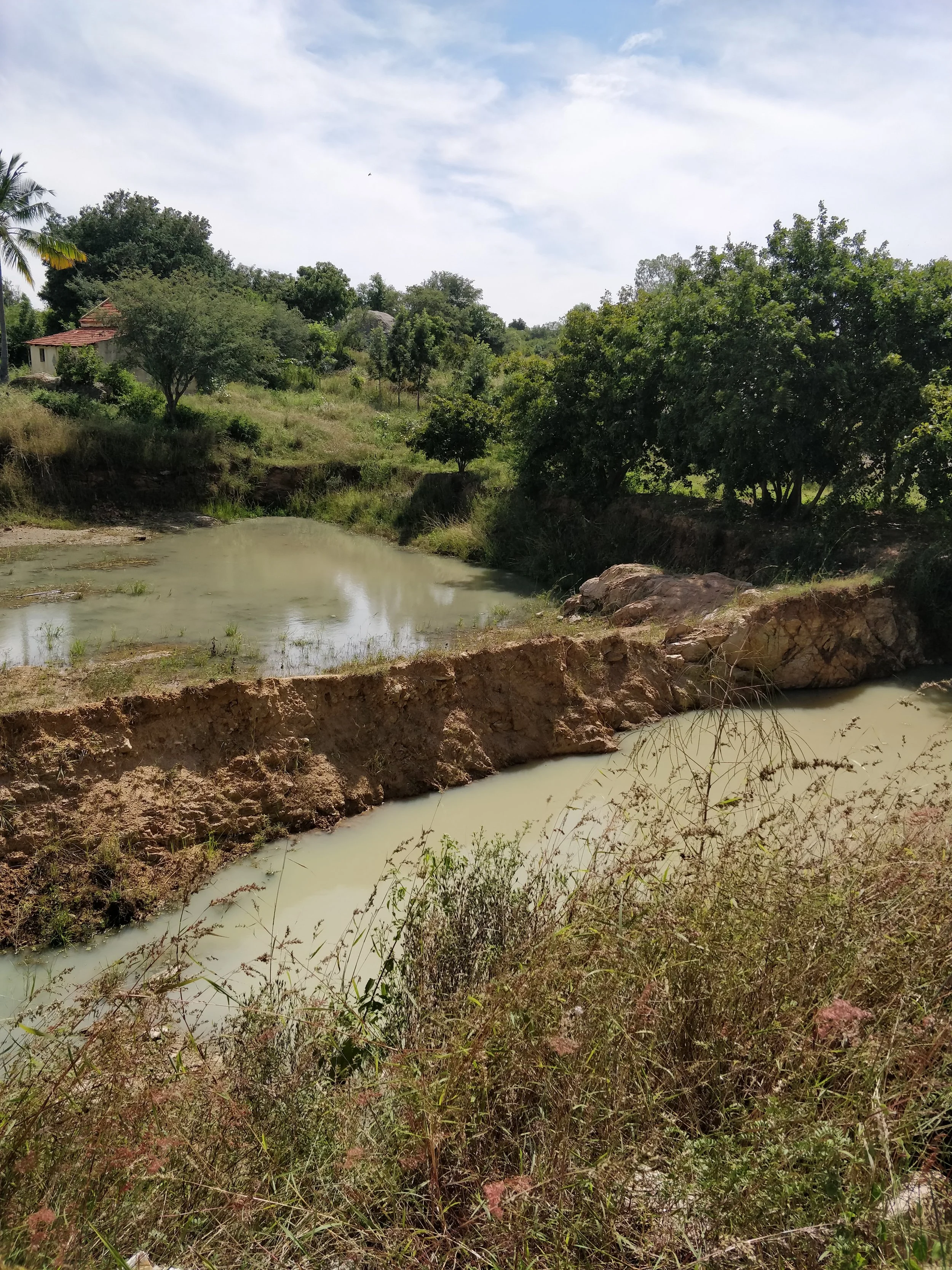 Existing pond (seasonal)
