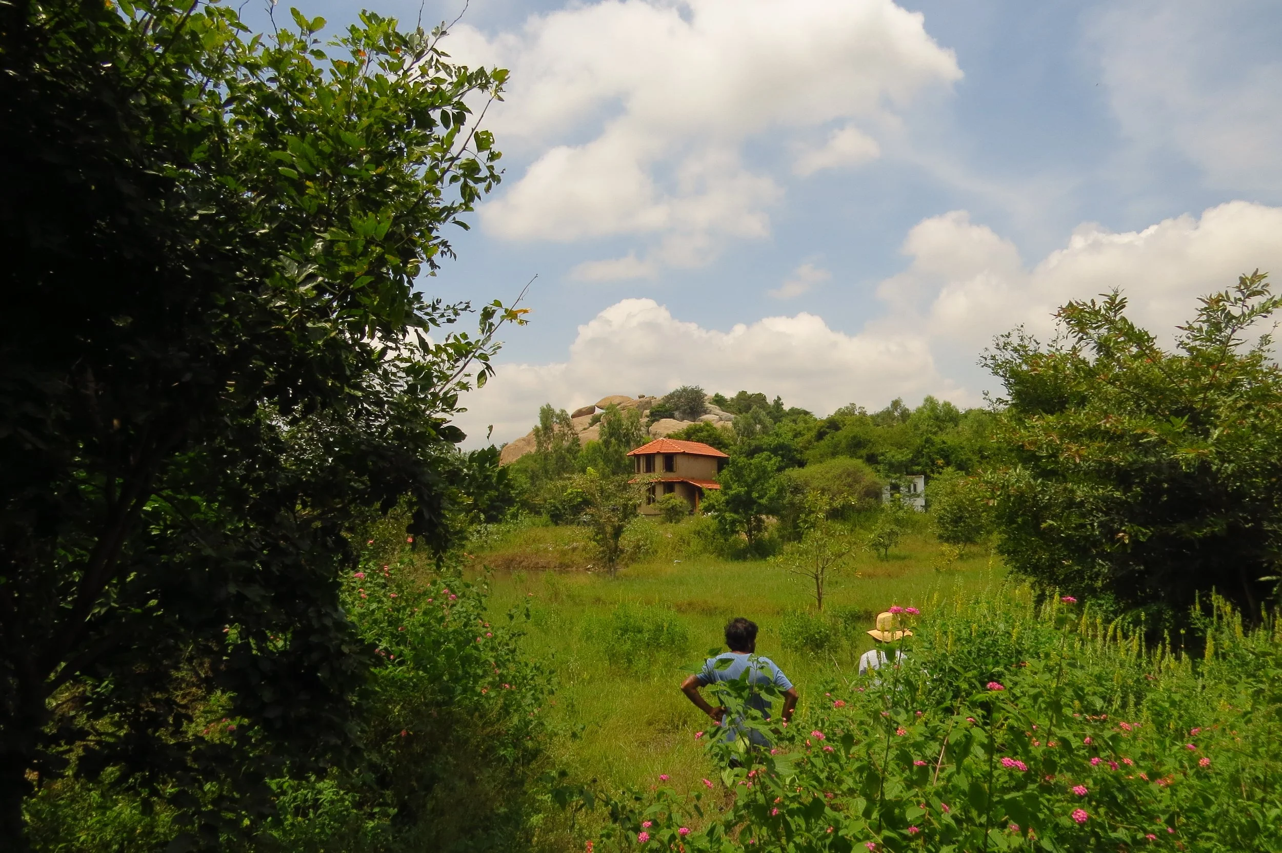 View of first shelter from the east