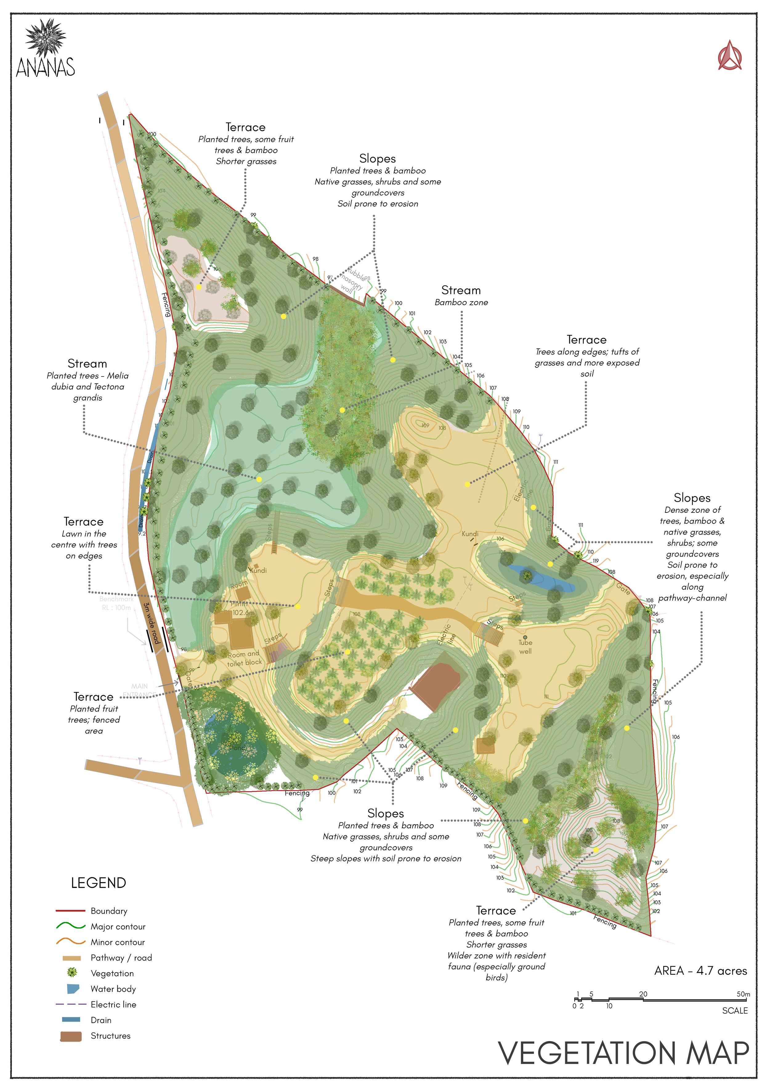 9 - Vegetation Map.jpg