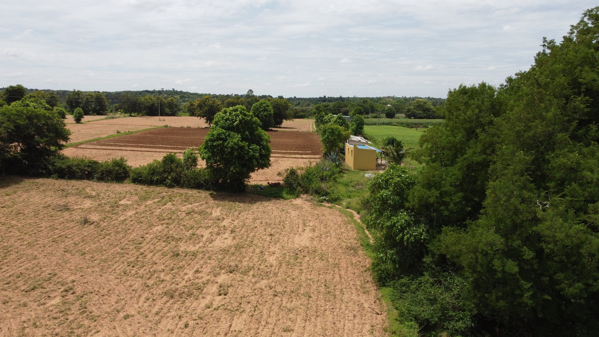 DJI_0624.JPG