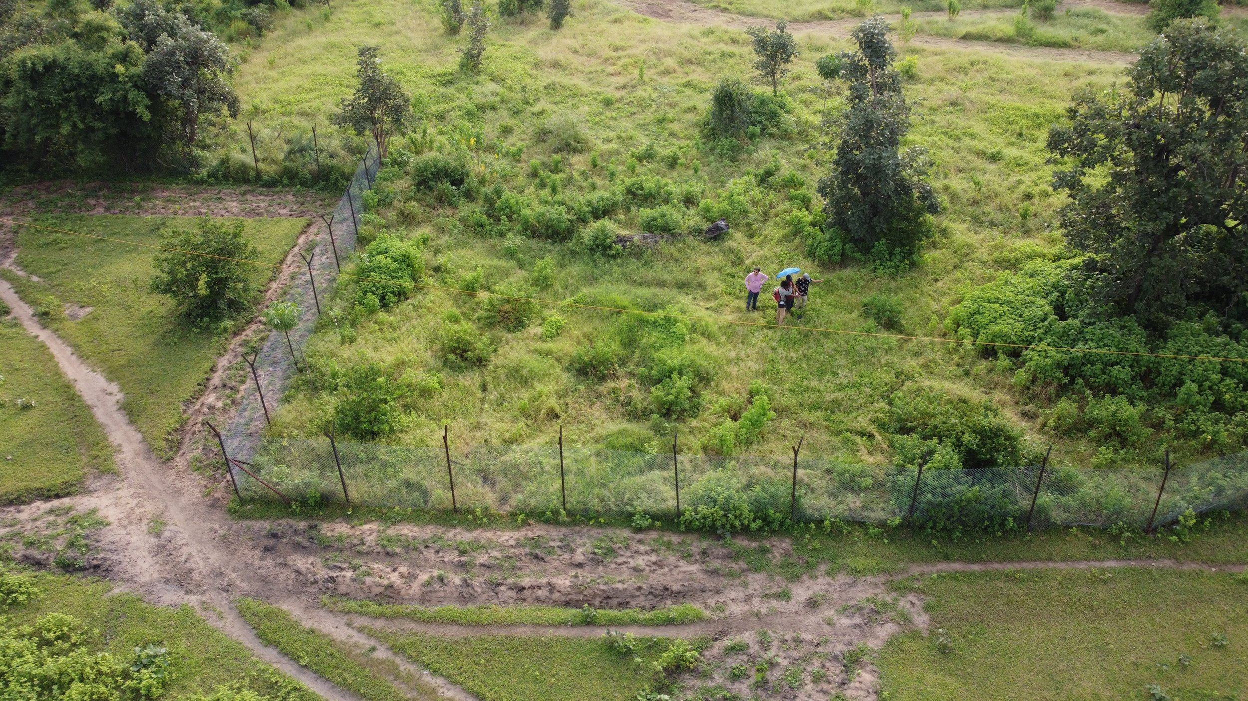 DJI_0239.JPG