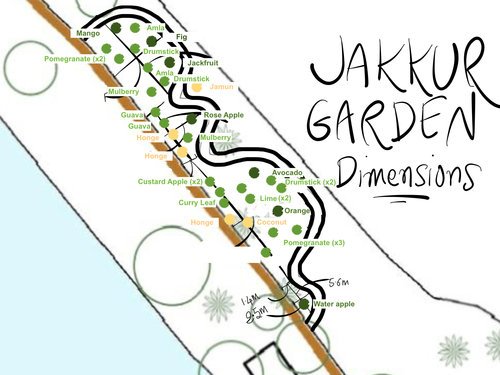 Jakkur+Lake+Planting+Plan++(1).jpg