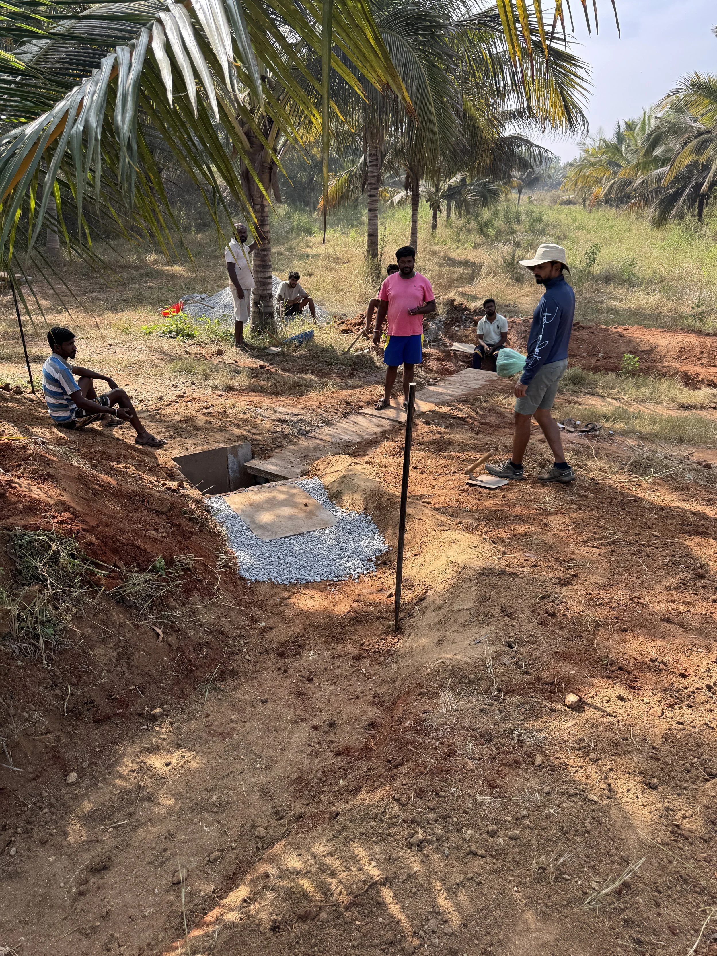 Silt trap and causeway allowing water from Pond 2 (P2) to cross the road and enter the roadside bioswale