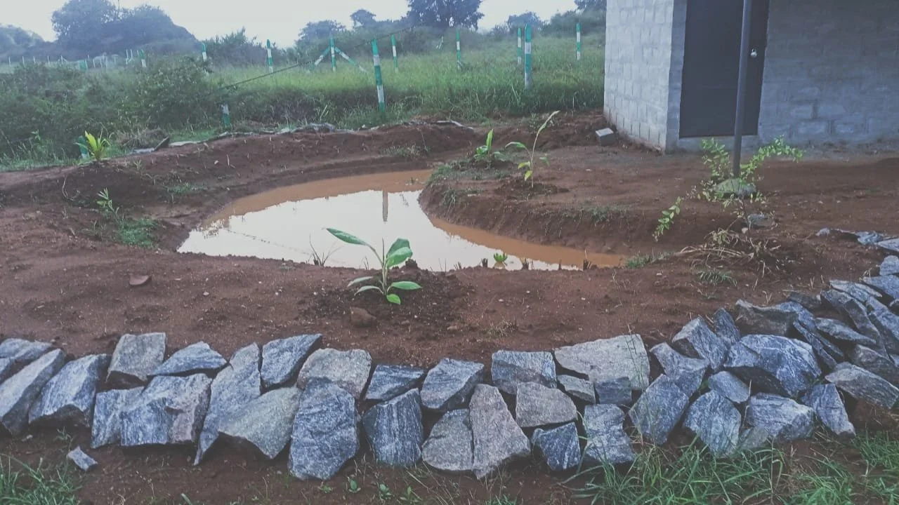Pond during monsoon (PC credits caretaker) 