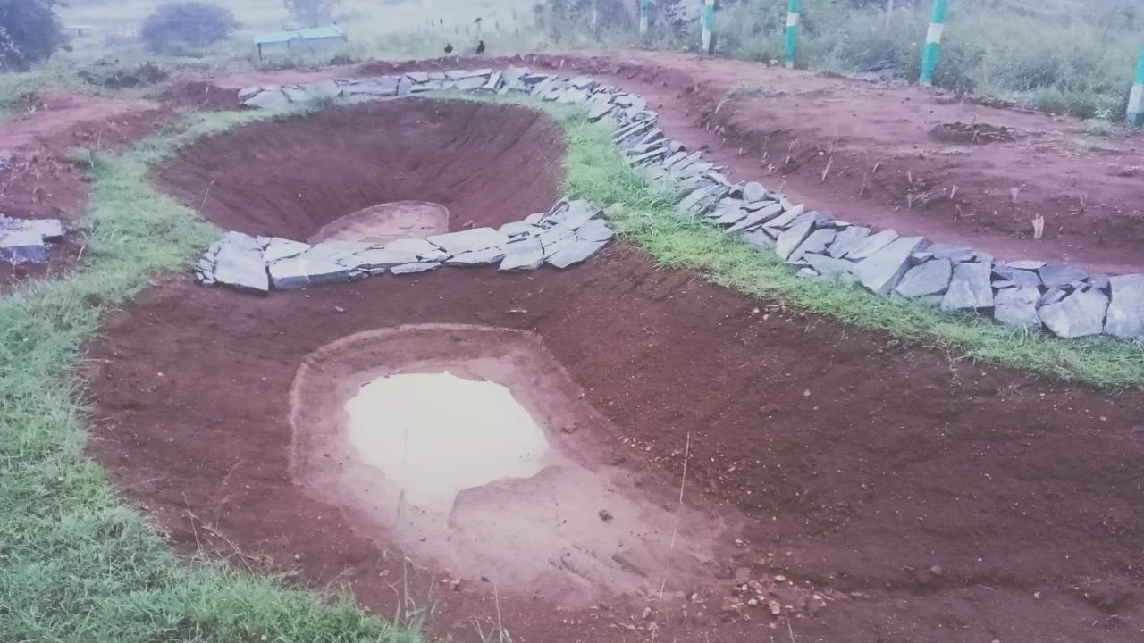 Pond during monsoons (PC credits caretaker) 