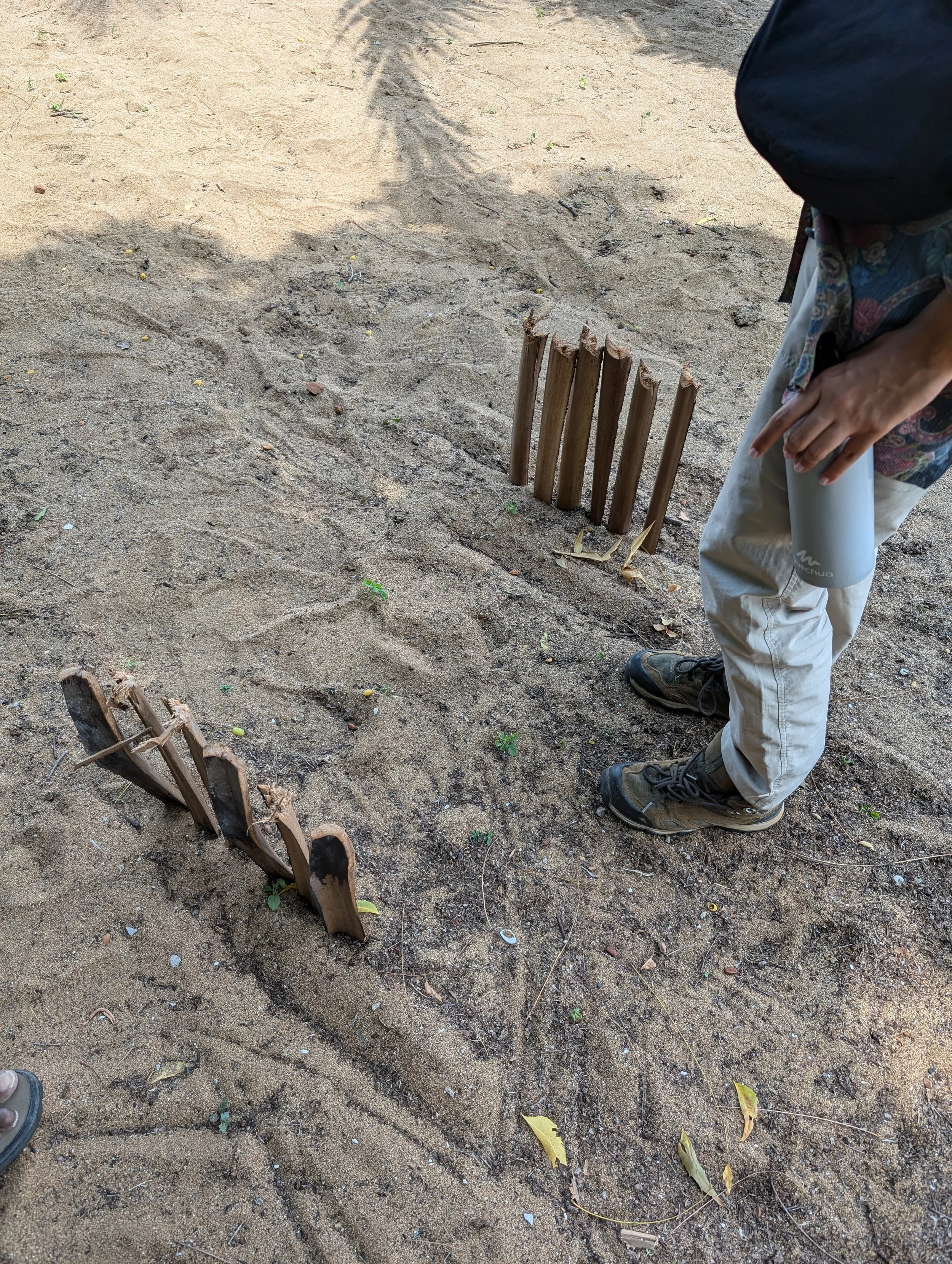 Testing out pathway formats