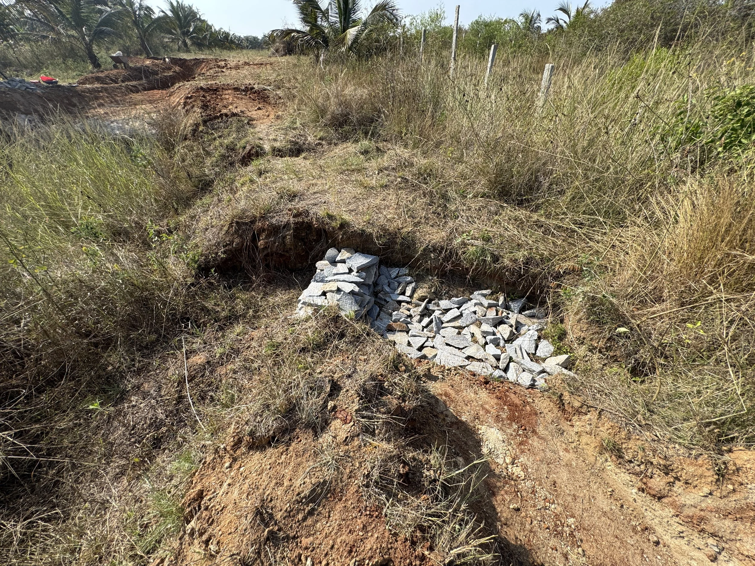 Gulley plugs in P1 inlets to reduce erosion of inlets and trap silt before it enters the pond