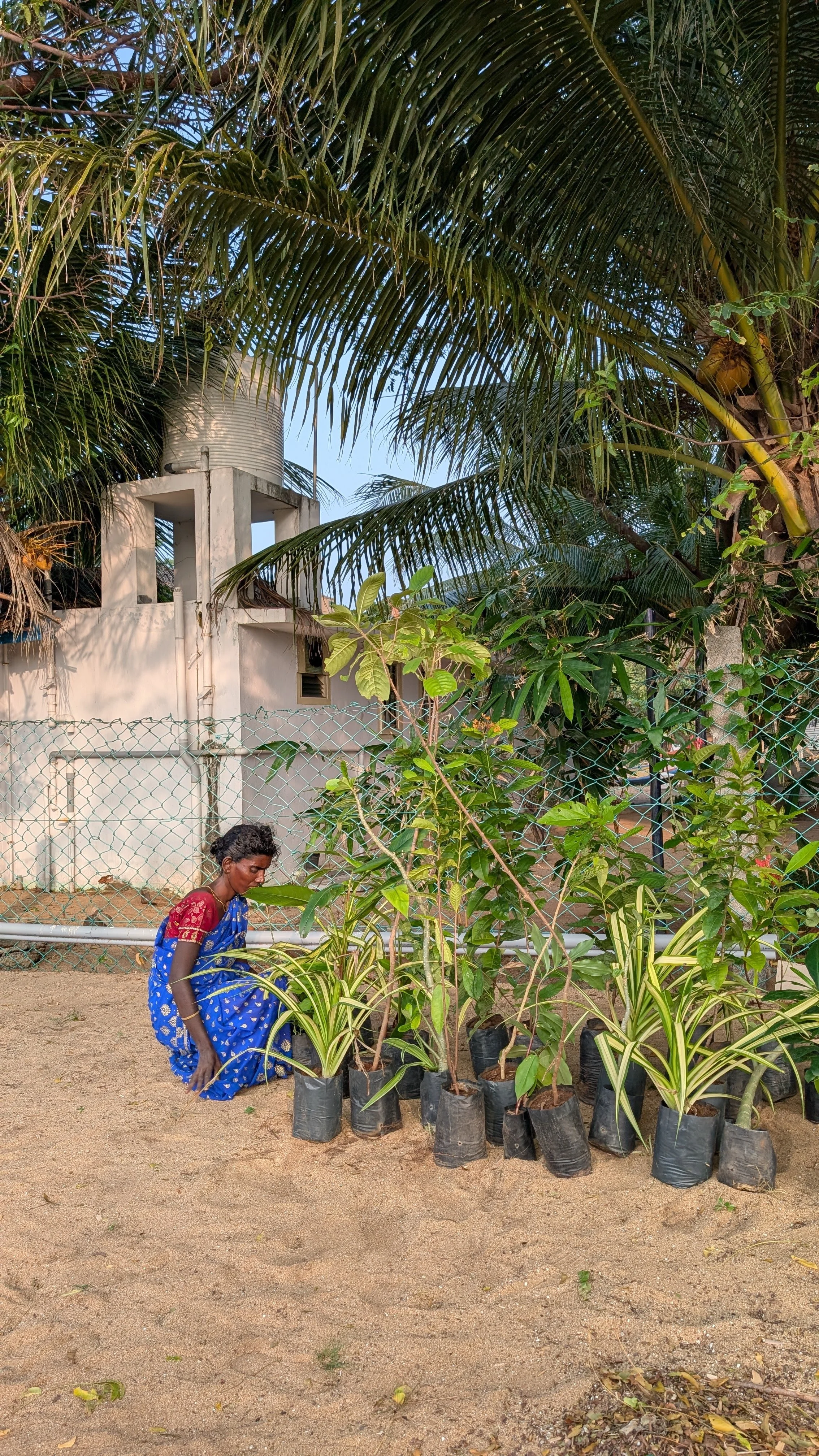 Visit 1 - Sorting species