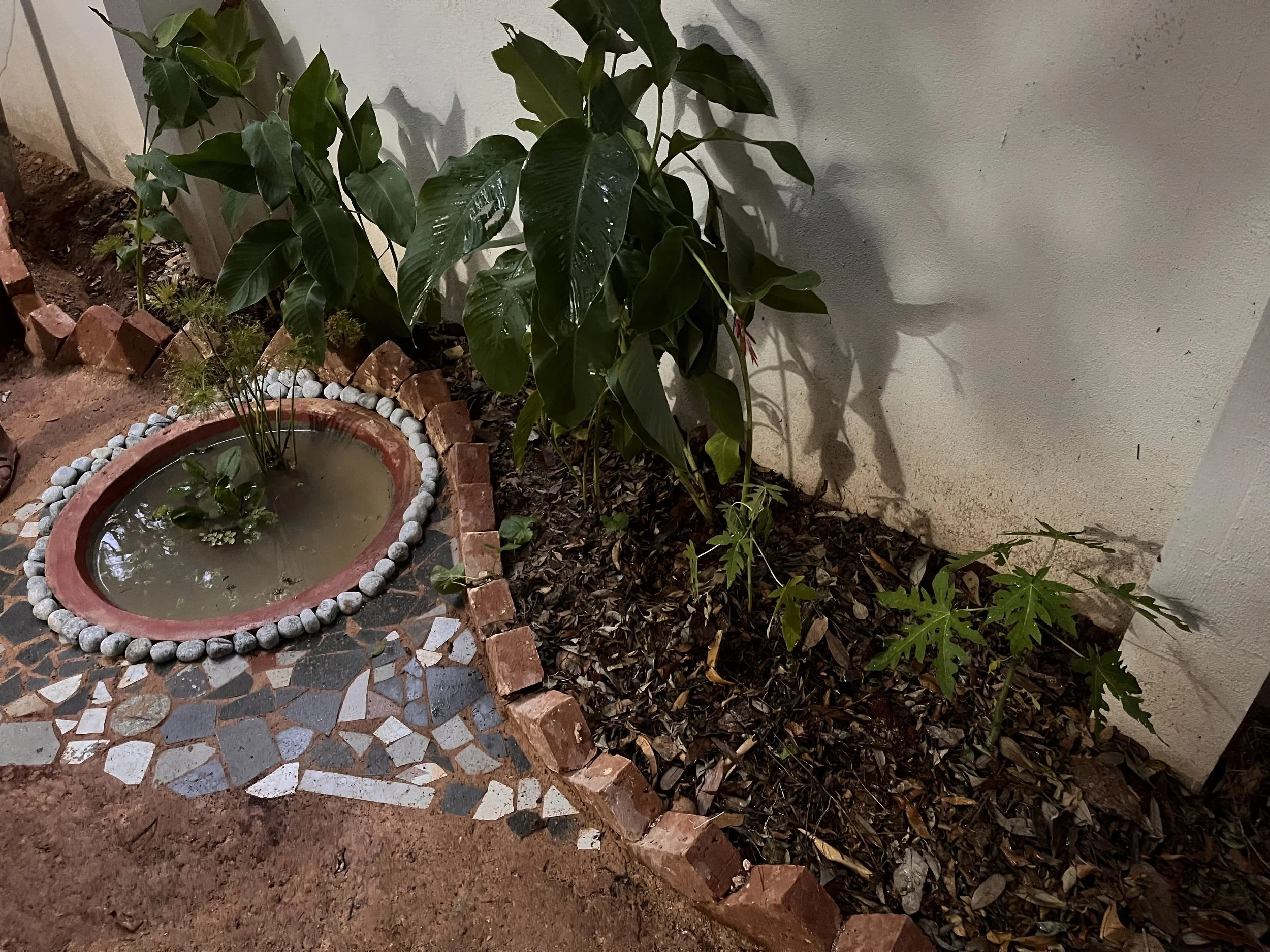 Water-loving species planted by the pond