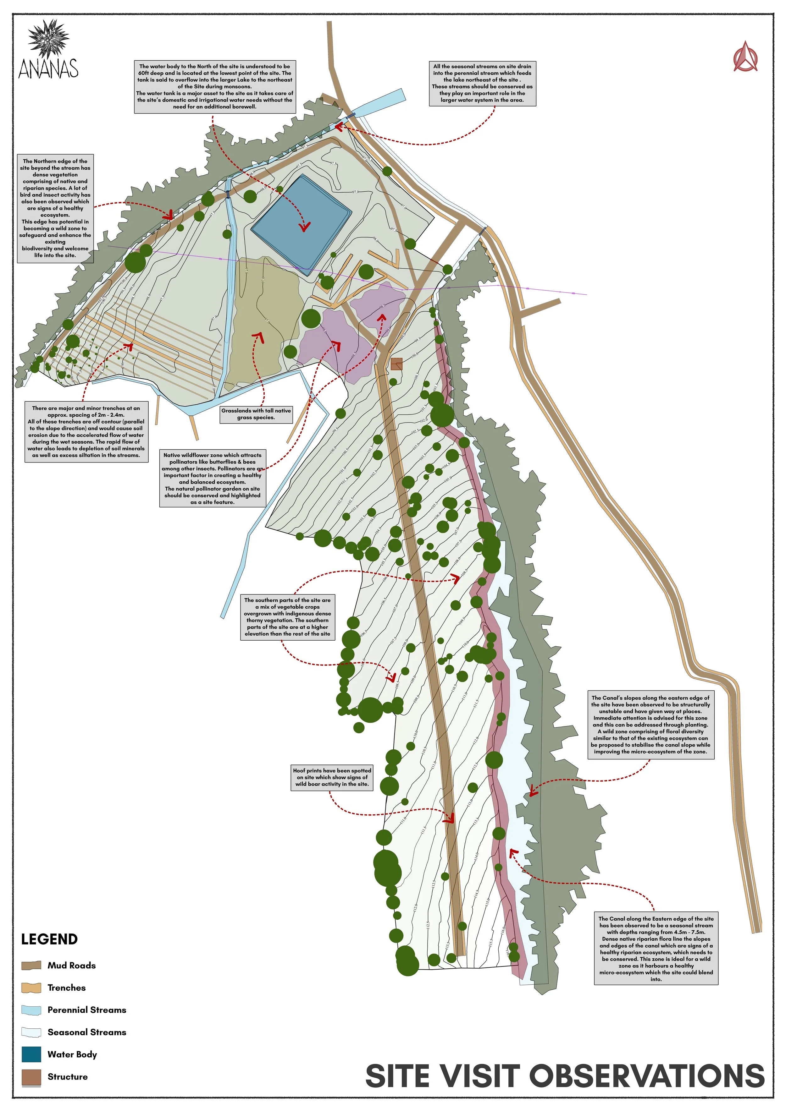 2 - Site Visit 1 Observations & Inferences.jpg