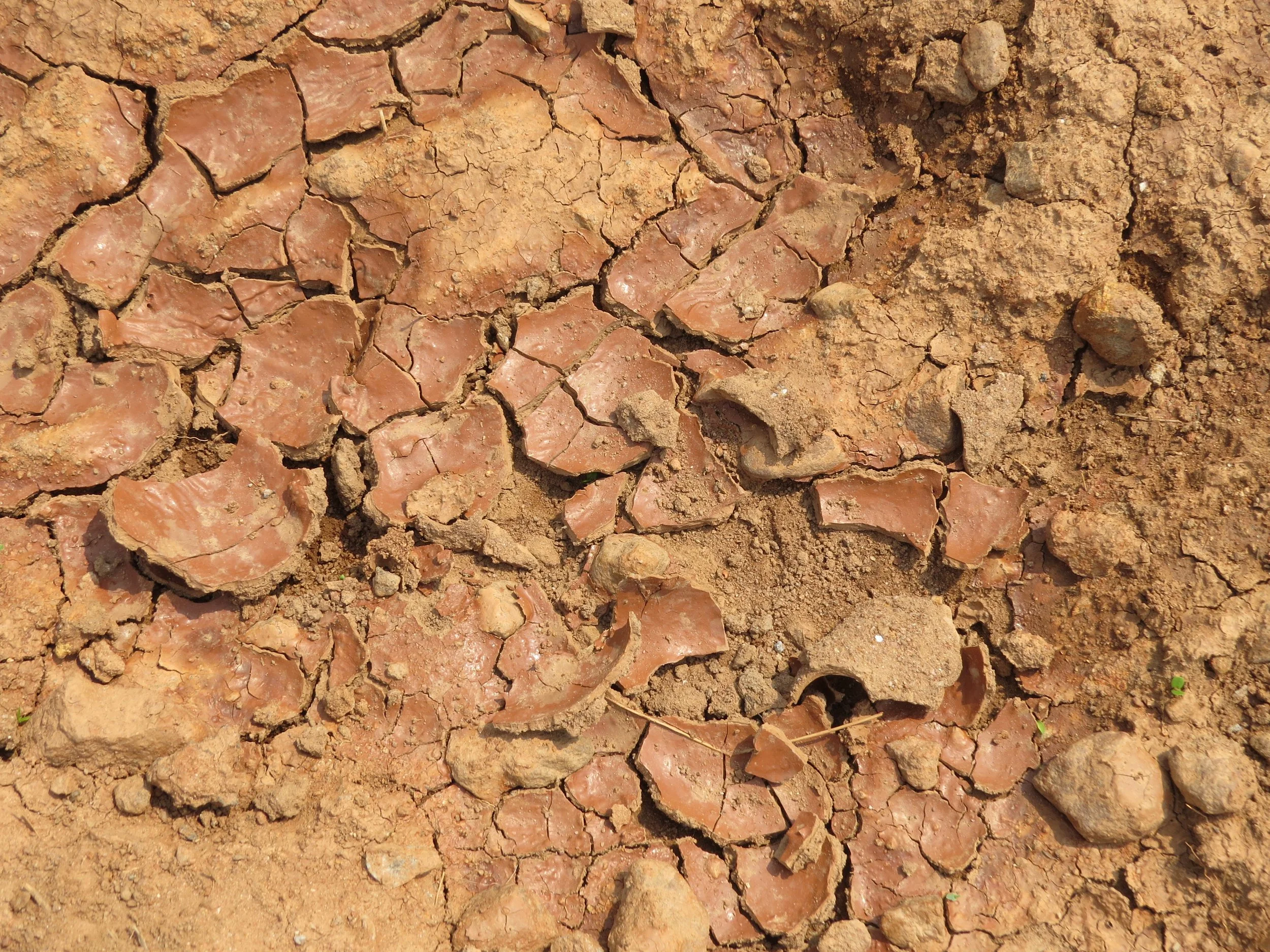 Clay soil observed in low lying areas