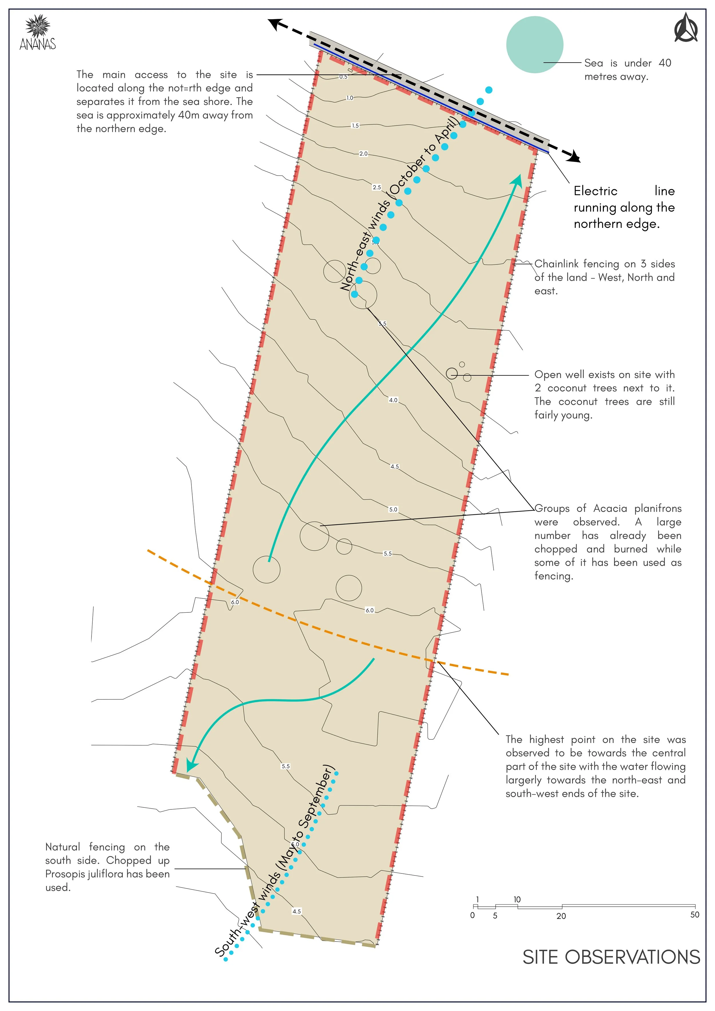 2. Site observations.jpg
