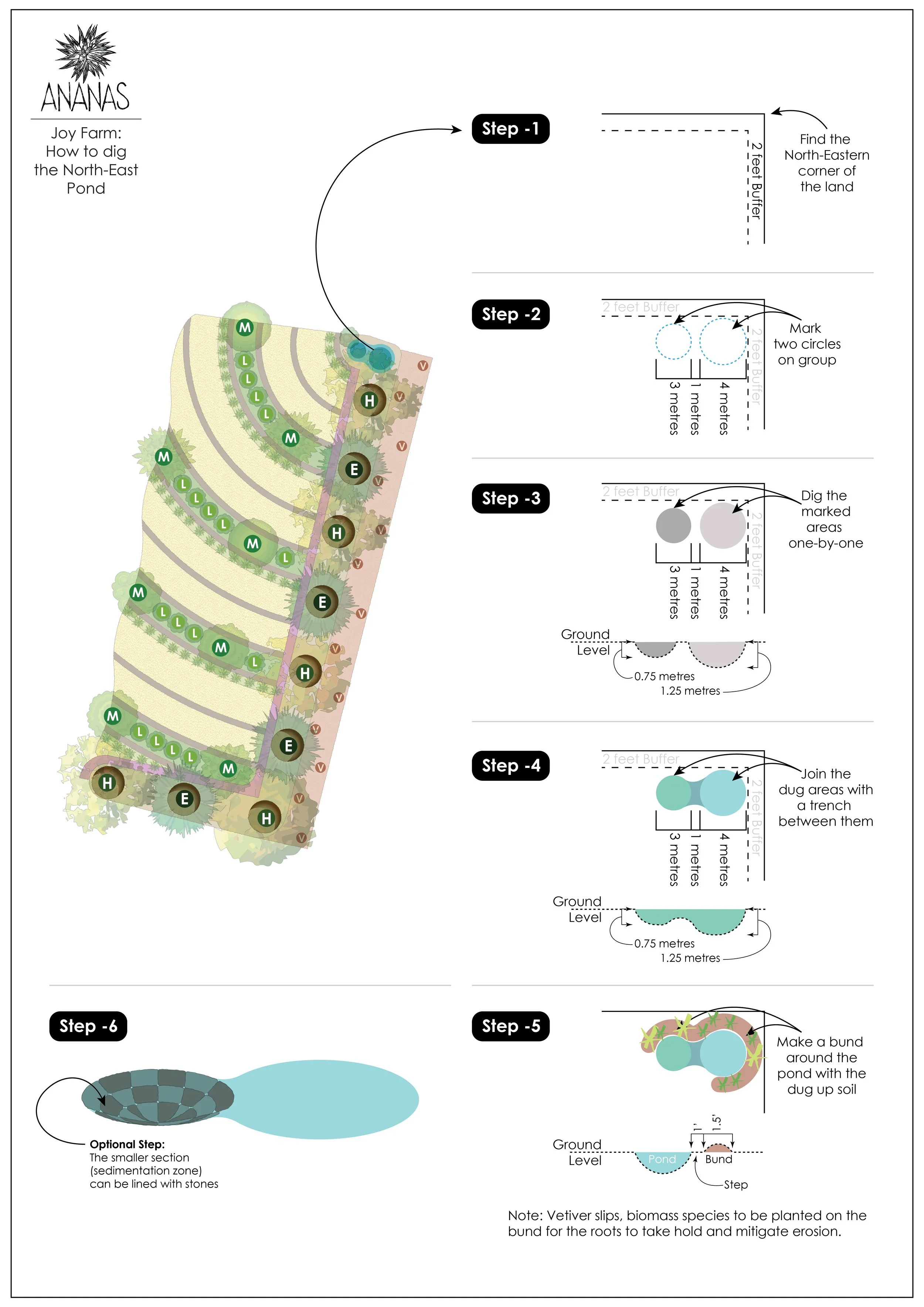 Joy Farm All Maps_Pond Sketch (1).jpg