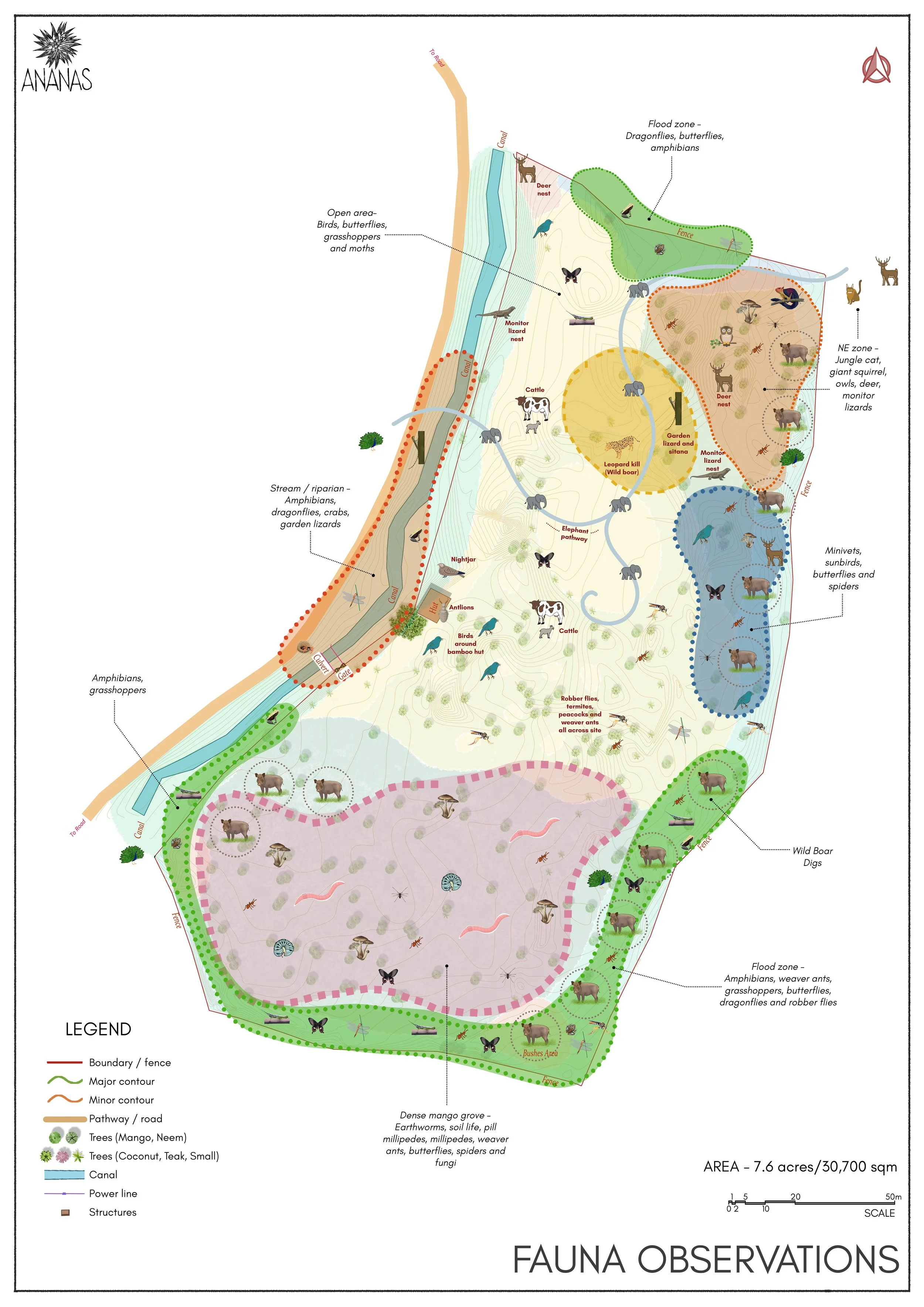 12 - Fauna Map.jpg