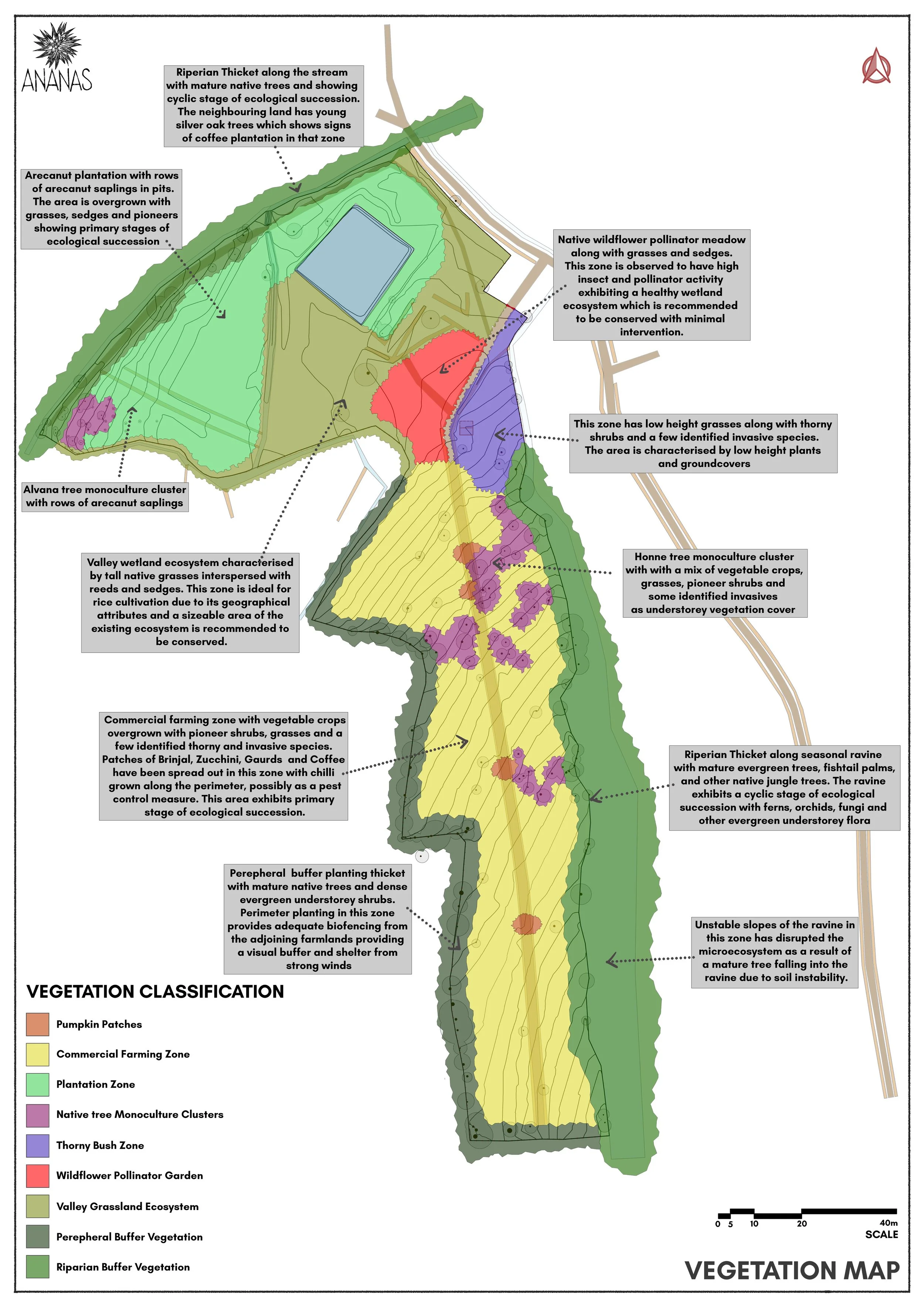 9 - Vegetation Map.jpg