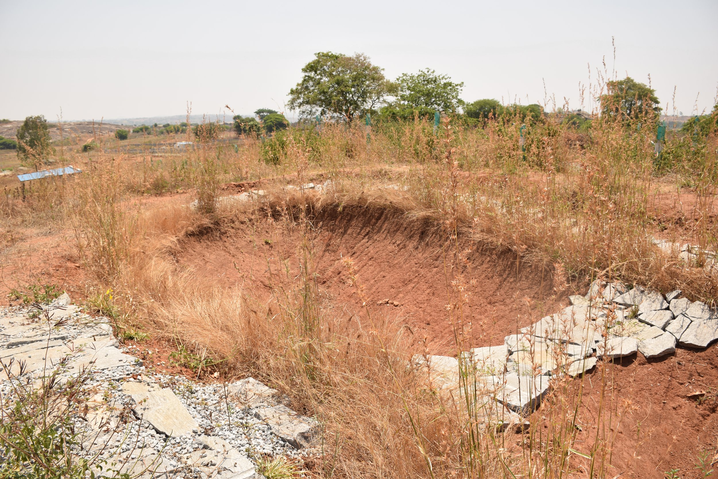 Pond during dry season